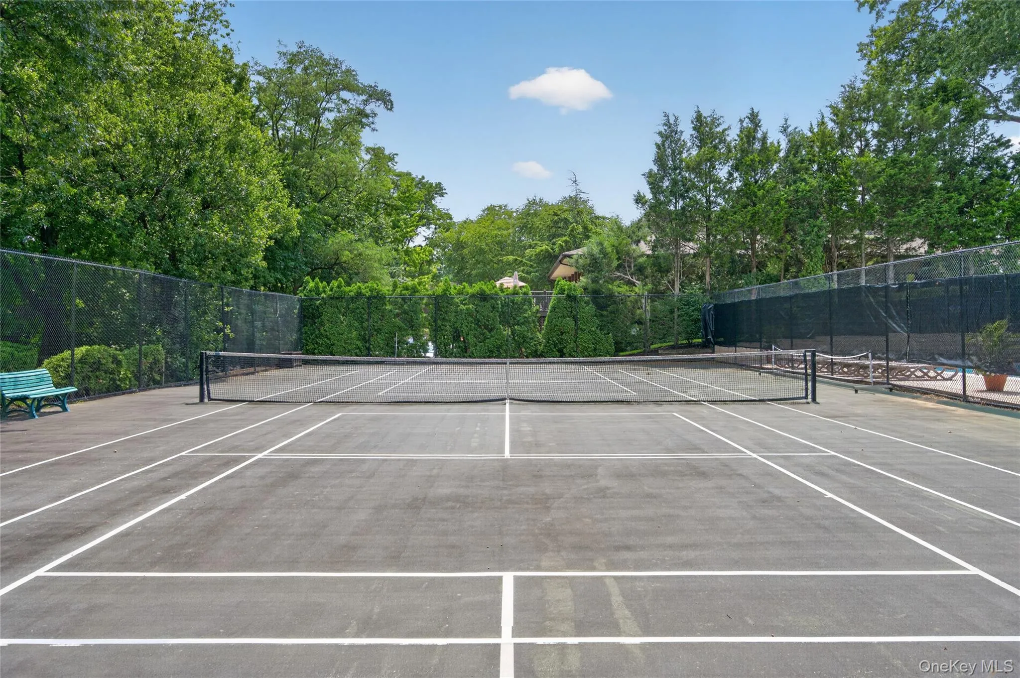 Community Tennis/Pickleball Courts Community Tennis/Pickleball Courts