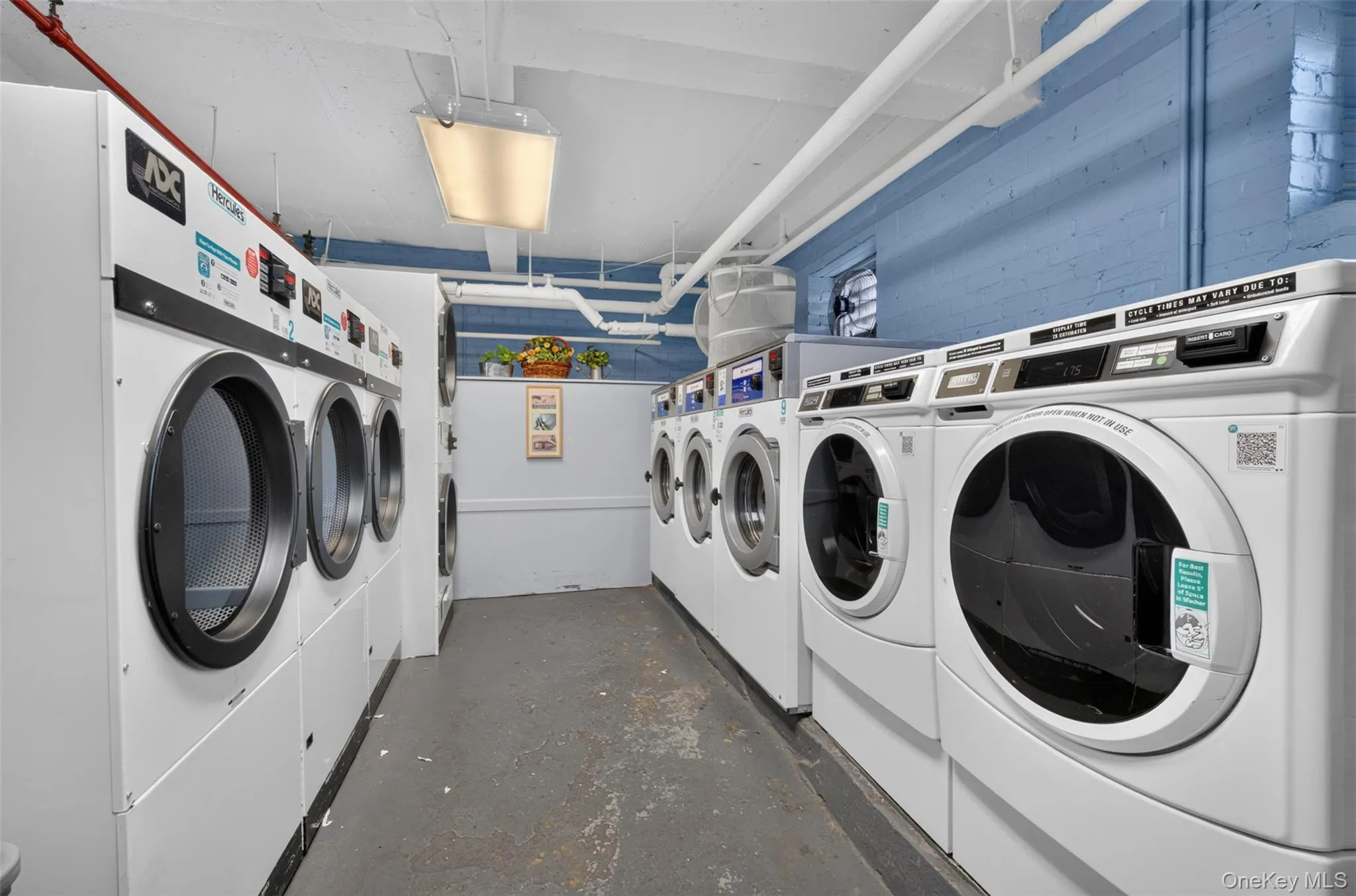144-60 Gravett Rd, New York, NY, 3 Bedrooms Bedrooms, 6 Rooms Rooms,1 BathroomBathrooms,Residential,For Rent,Rd,0,1036789 144-60 Gravett Rd, New York, NY, 3 Bedrooms Bedrooms, 6 Rooms Rooms,1 BathroomBathrooms,Residential,For Rent,Rd,0,1036789