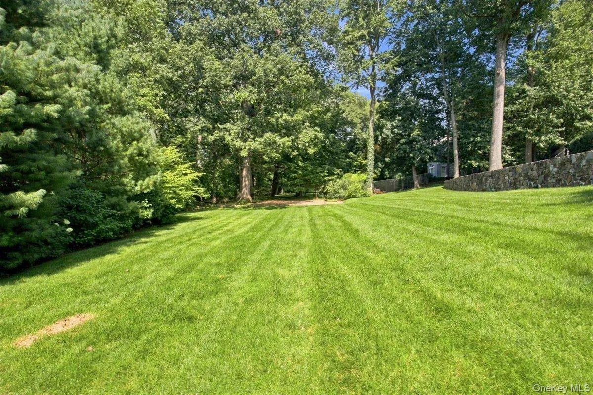 Backyard Backyard
