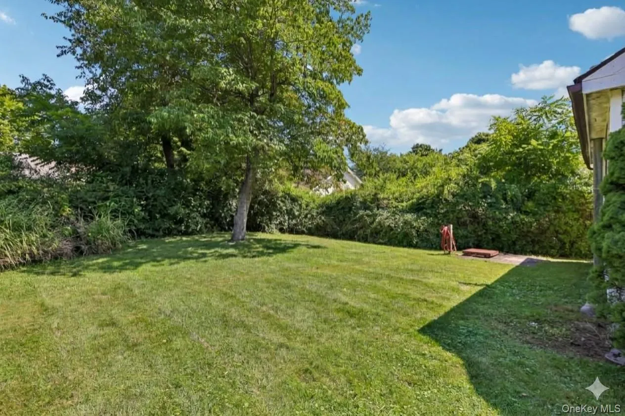 92 Walton Terrace, Monroe, NY, 2 Bedrooms Bedrooms, 5 Rooms Rooms,1 BathroomBathrooms,Residential,For Rent,Walton,0,1036803 92 Walton Terrace, Monroe, NY, 2 Bedrooms Bedrooms, 5 Rooms Rooms,1 BathroomBathrooms,Residential,For Rent,Walton,0,1036803