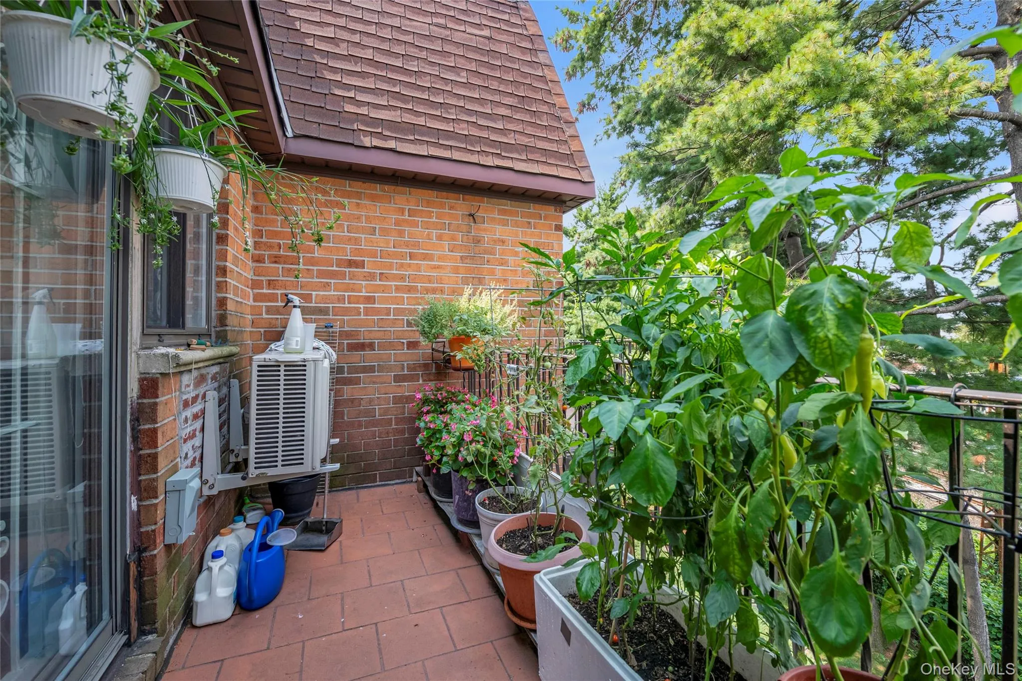 74-49 Calamus Avenue, New York, NY, 3 Bedrooms Bedrooms, 6 Rooms Rooms,1 BathroomBathrooms,Residential,For Rent,Calamus,0,1036853 74-49 Calamus Avenue, New York, NY, 3 Bedrooms Bedrooms, 6 Rooms Rooms,1 BathroomBathrooms,Residential,For Rent,Calamus,0,1036853