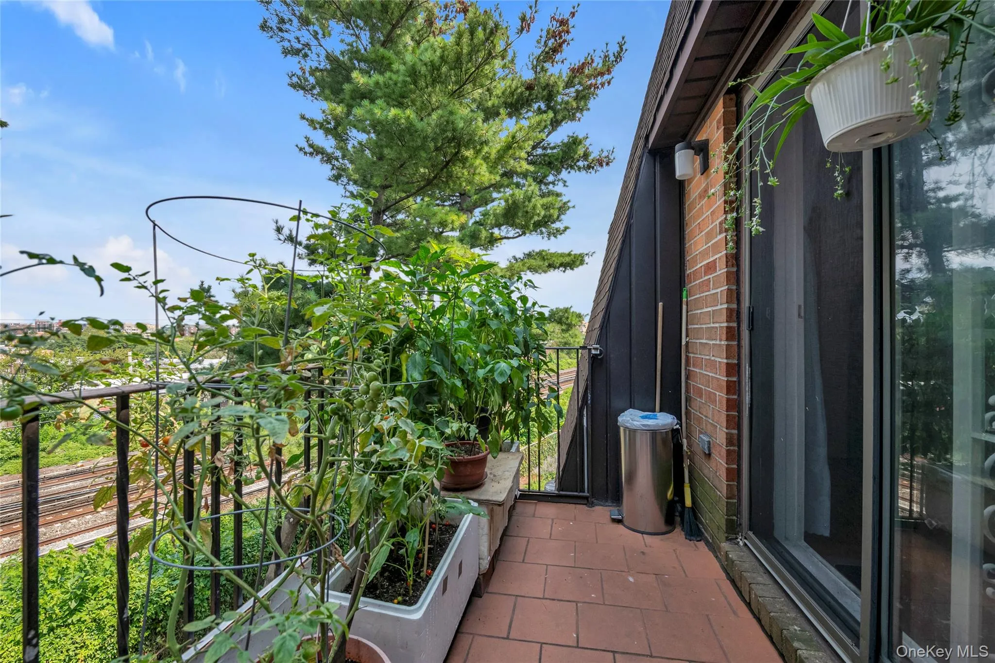 74-49 Calamus Avenue, New York, NY, 3 Bedrooms Bedrooms, 6 Rooms Rooms,1 BathroomBathrooms,Residential,For Rent,Calamus,0,1036853 74-49 Calamus Avenue, New York, NY, 3 Bedrooms Bedrooms, 6 Rooms Rooms,1 BathroomBathrooms,Residential,For Rent,Calamus,0,1036853