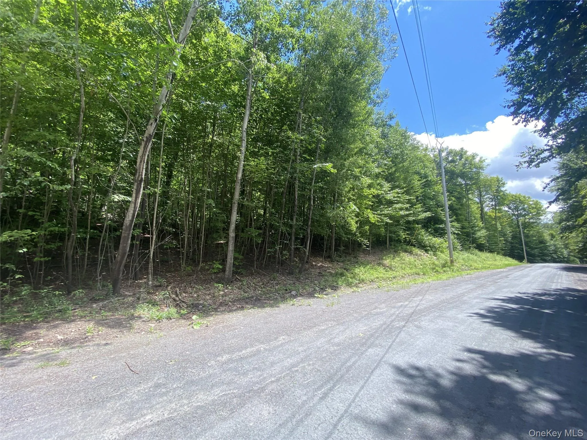 140 Arbor Road, Lexington, NY, ,Land,For Rent,Arbor,0,1036886 140 Arbor Road, Lexington, NY, ,Land,For Rent,Arbor,0,1036886