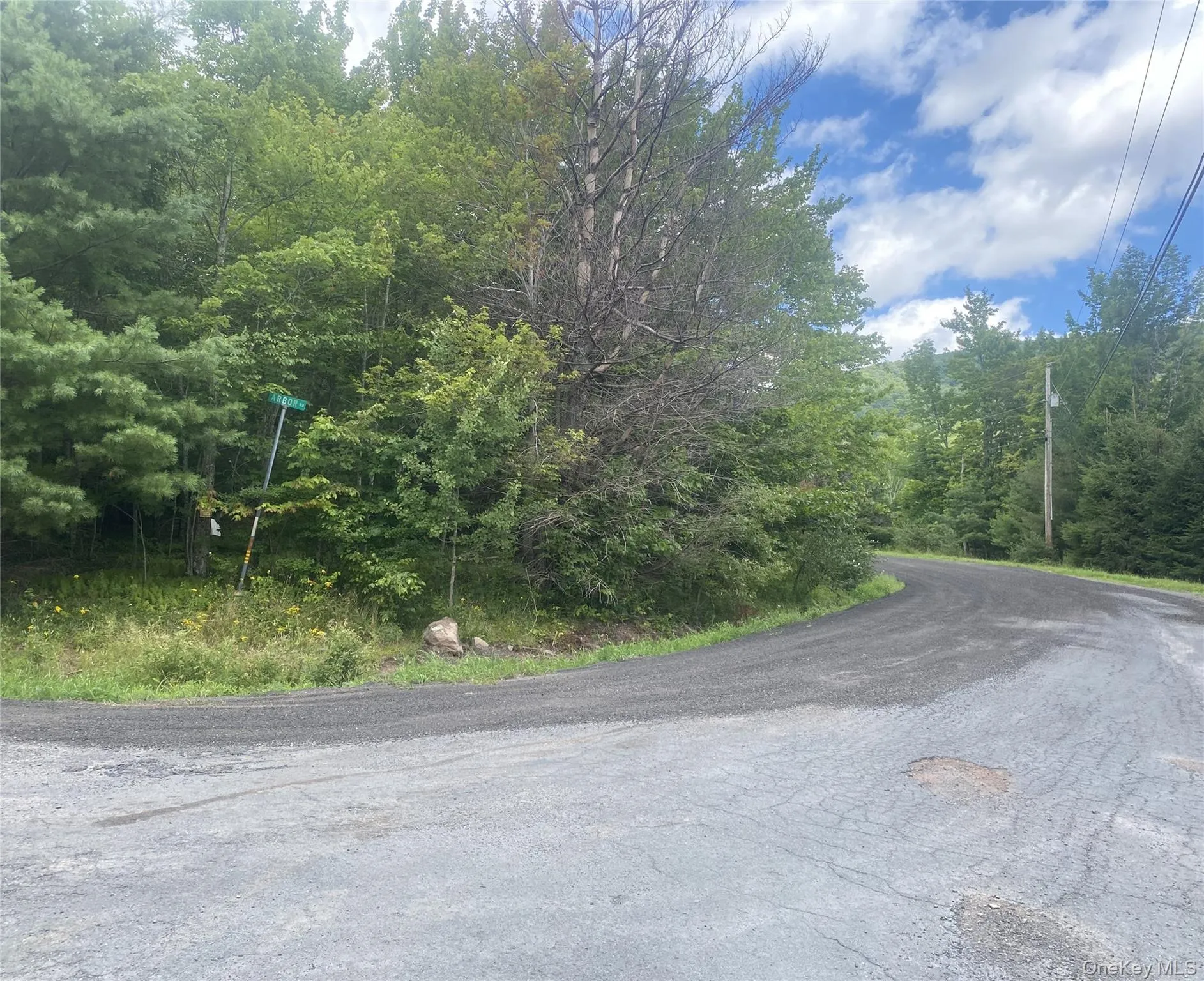 140 Arbor Road, Lexington, NY, ,Land,For Rent,Arbor,0,1036886 140 Arbor Road, Lexington, NY, ,Land,For Rent,Arbor,0,1036886