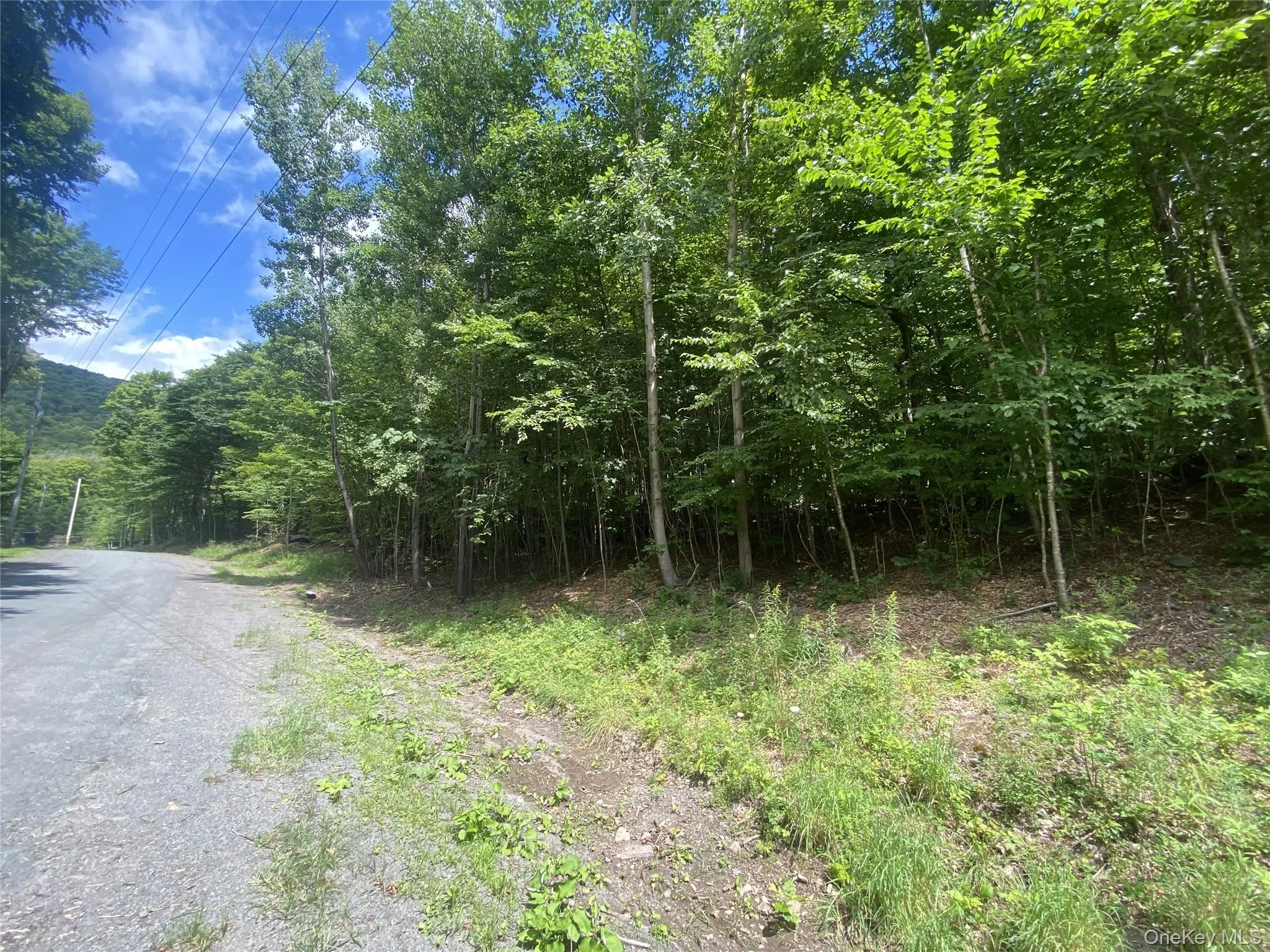 140 Arbor Road, Lexington, NY, ,Land,For Rent,Arbor,0,1036886 140 Arbor Road, Lexington, NY, ,Land,For Rent,Arbor,0,1036886