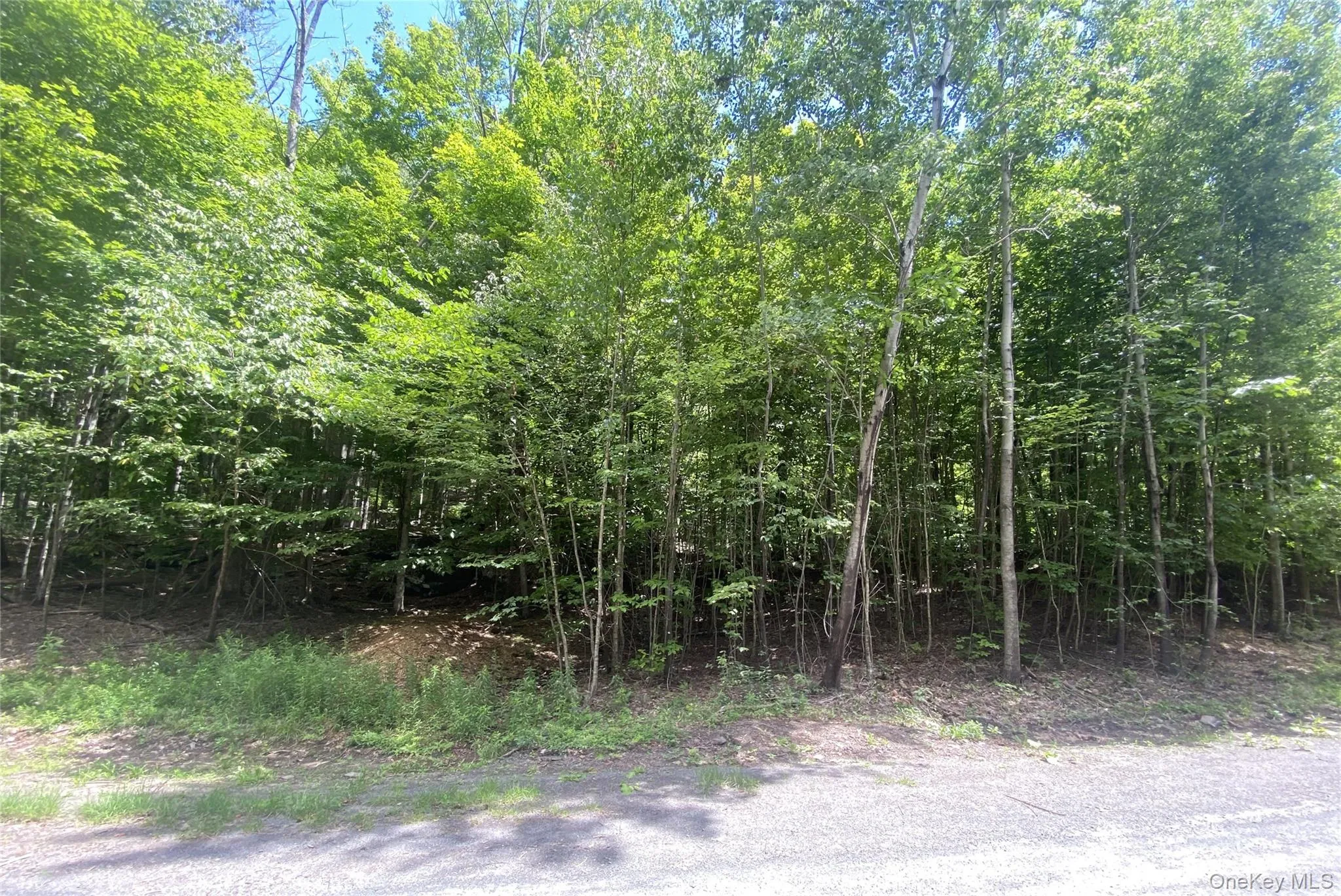 140 Arbor Road, Lexington, NY, ,Land,For Rent,Arbor,0,1036886 140 Arbor Road, Lexington, NY, ,Land,For Rent,Arbor,0,1036886