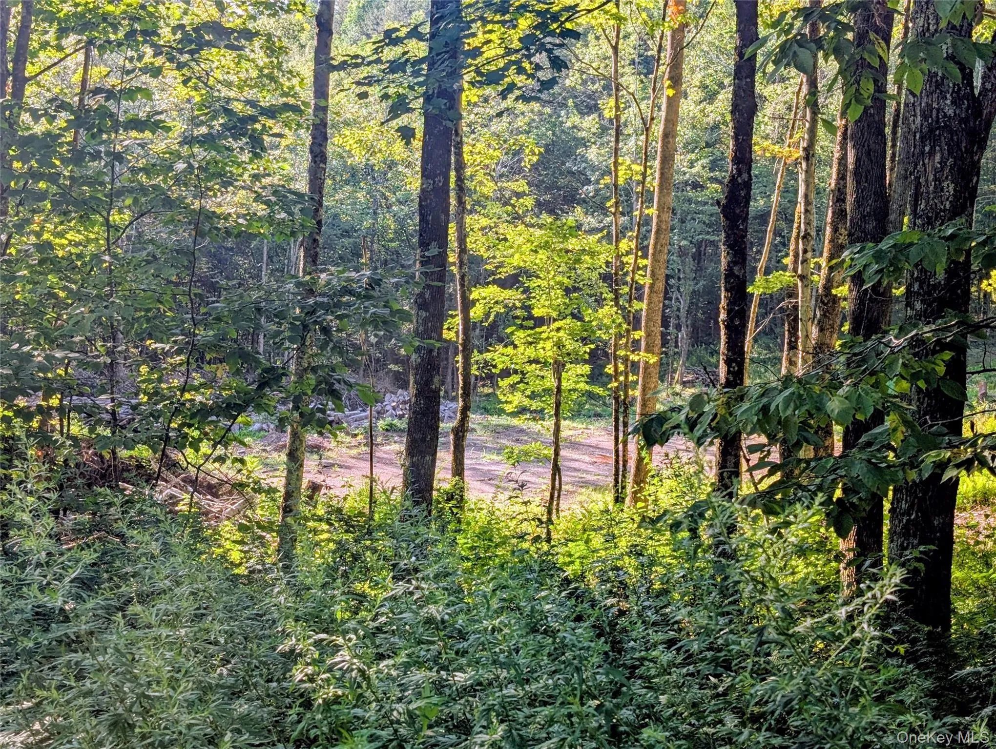 Hurd Road, Bethel, NY, ,Land,For Rent,Hurd,0,1036889 Hurd Road, Bethel, NY, ,Land,For Rent,Hurd,0,1036889