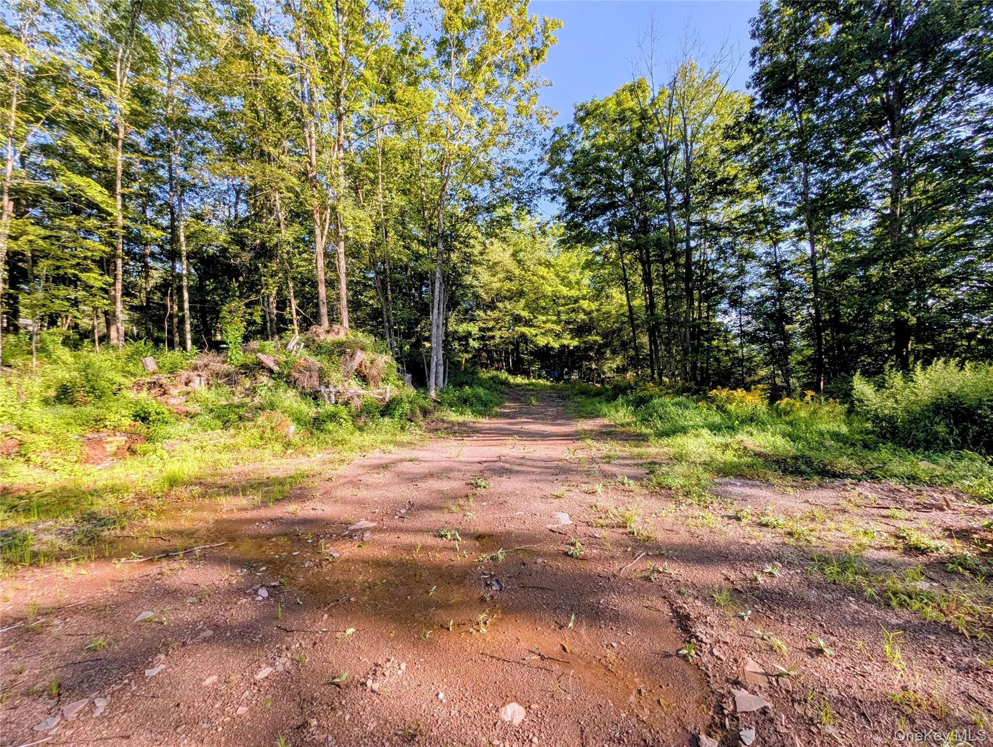 Hurd Road, Bethel, NY, ,Land,For Rent,Hurd,0,1036889 Hurd Road, Bethel, NY, ,Land,For Rent,Hurd,0,1036889