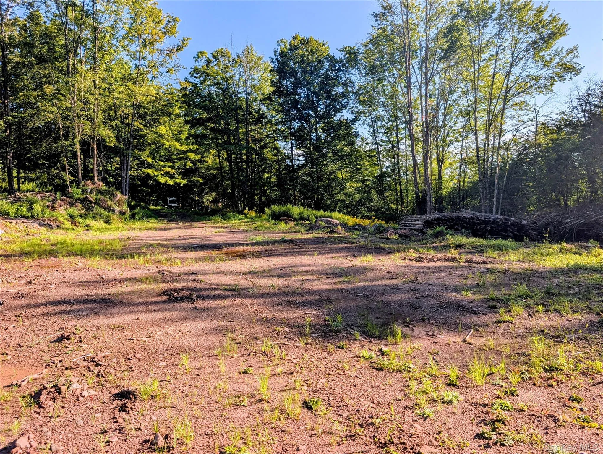 Hurd Road, Bethel, NY, ,Land,For Rent,Hurd,0,1036889 Hurd Road, Bethel, NY, ,Land,For Rent,Hurd,0,1036889