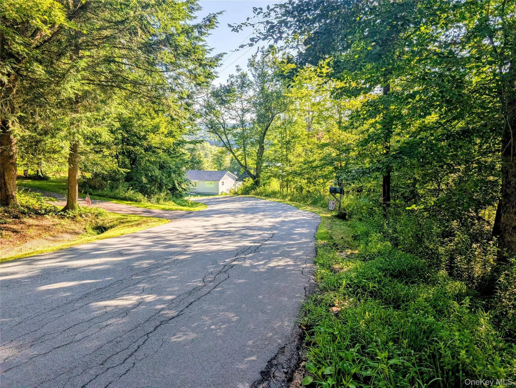Hurd Road, Bethel, NY, ,Land,For Rent,Hurd,0,1036889 Hurd Road, Bethel, NY, ,Land,For Rent,Hurd,0,1036889