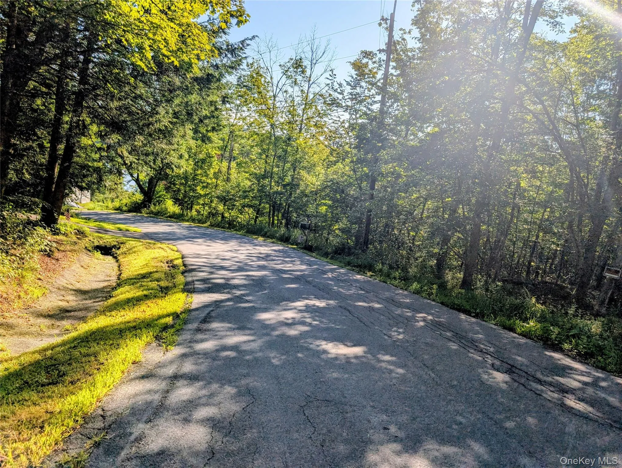 Hurd Road, Bethel, NY, ,Land,For Rent,Hurd,0,1036889 Hurd Road, Bethel, NY, ,Land,For Rent,Hurd,0,1036889