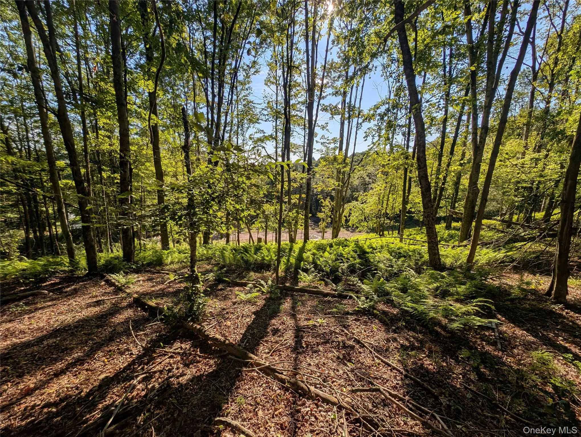 Hurd Road, Bethel, NY, ,Land,For Rent,Hurd,0,1036889 Hurd Road, Bethel, NY, ,Land,For Rent,Hurd,0,1036889