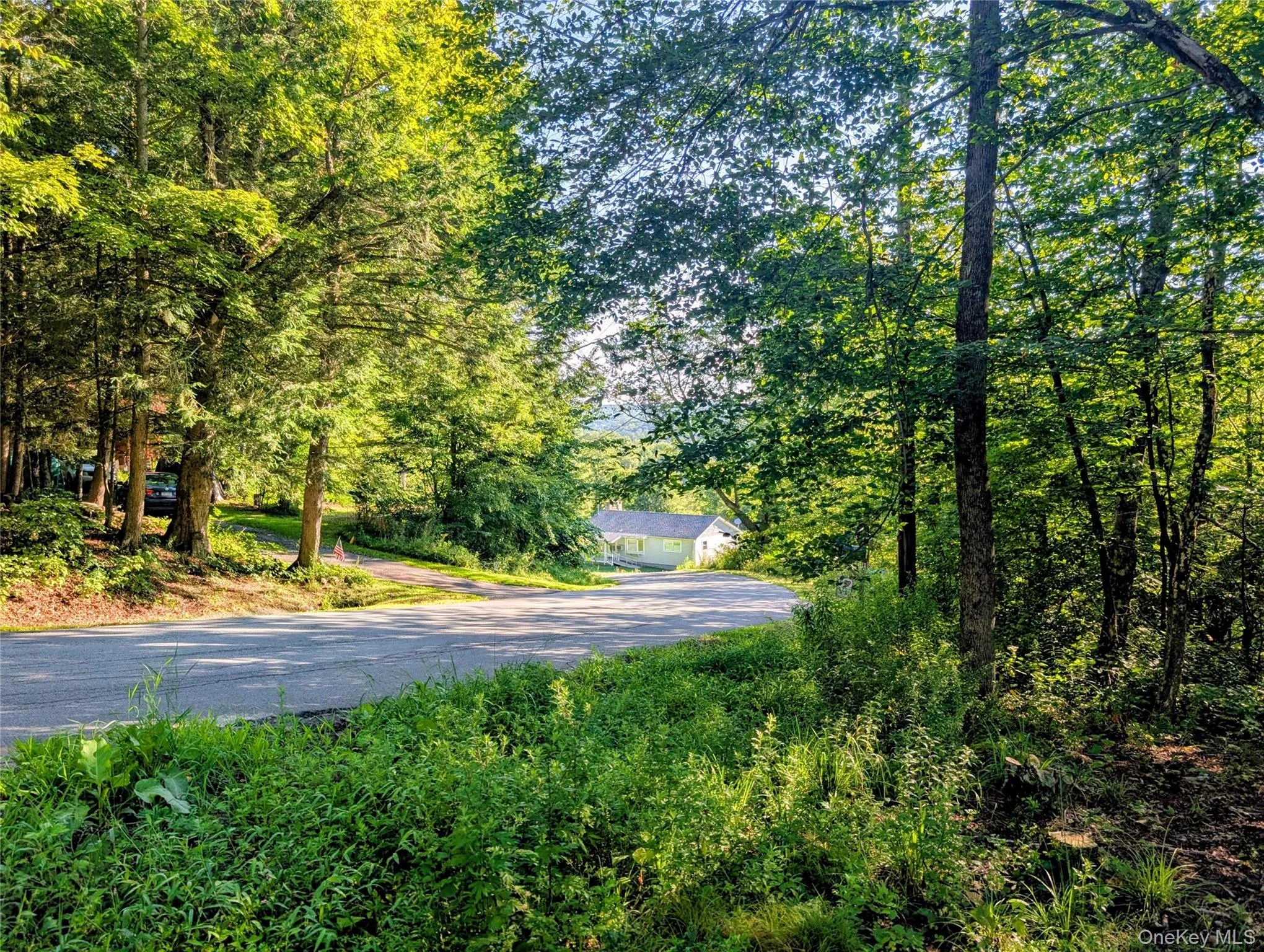 Hurd Road, Bethel, NY, ,Land,For Rent,Hurd,0,1036889 Hurd Road, Bethel, NY, ,Land,For Rent,Hurd,0,1036889
