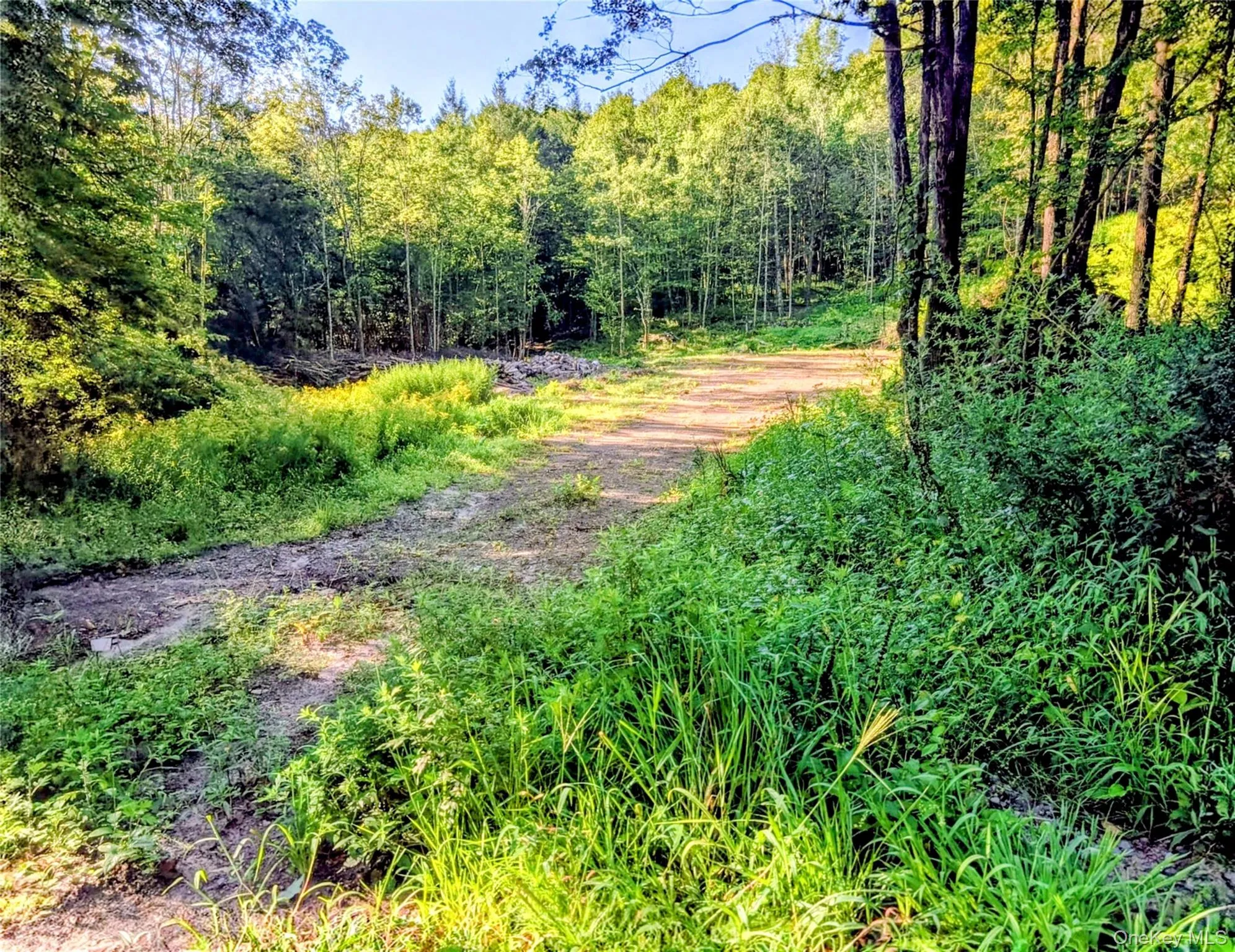 Hurd Road, Bethel, NY, ,Land,For Rent,Hurd,0,1036889 Hurd Road, Bethel, NY, ,Land,For Rent,Hurd,0,1036889