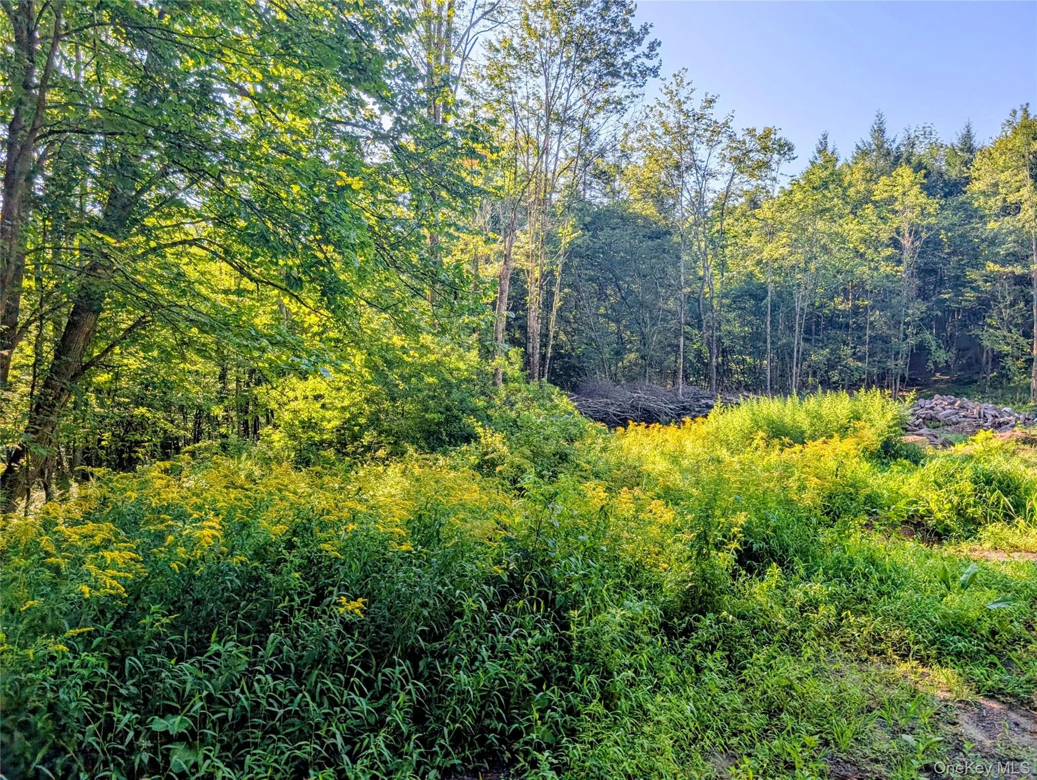 Hurd Road, Bethel, NY, ,Land,For Rent,Hurd,0,1036889 Hurd Road, Bethel, NY, ,Land,For Rent,Hurd,0,1036889