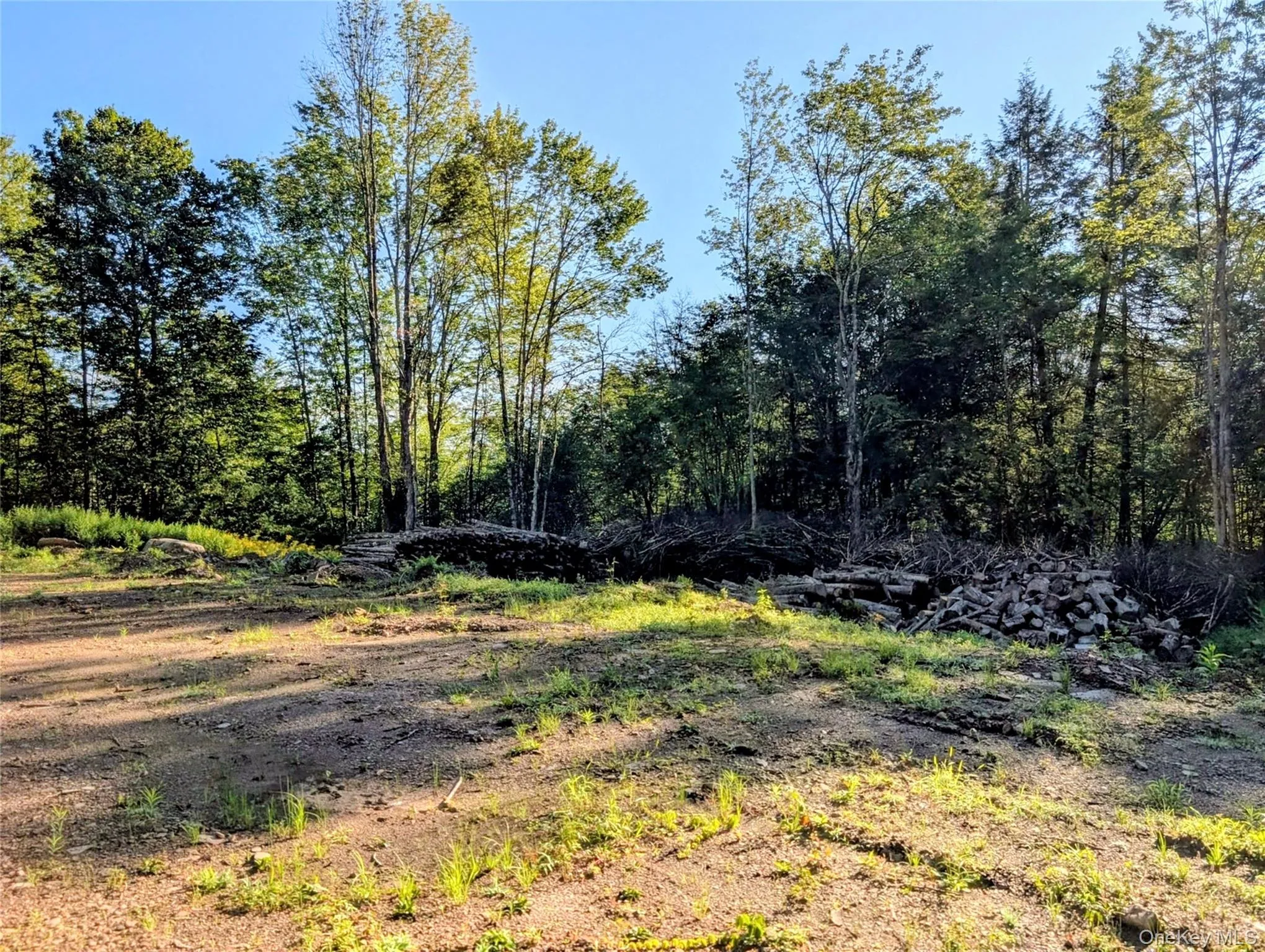Hurd Road, Bethel, NY, ,Land,For Rent,Hurd,0,1036889 Hurd Road, Bethel, NY, ,Land,For Rent,Hurd,0,1036889