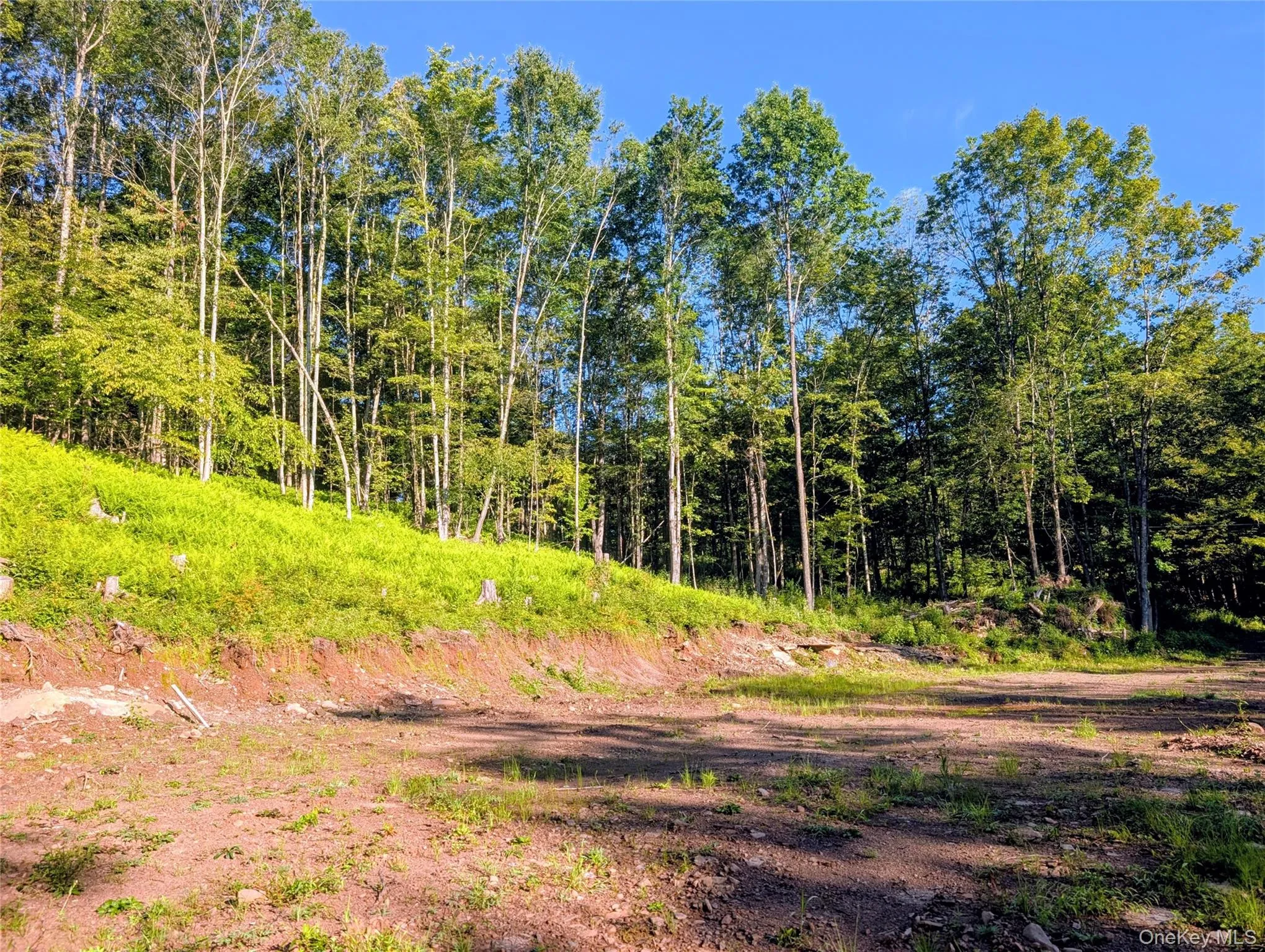 Hurd Road, Bethel, NY, ,Land,For Rent,Hurd,0,1036889 Hurd Road, Bethel, NY, ,Land,For Rent,Hurd,0,1036889