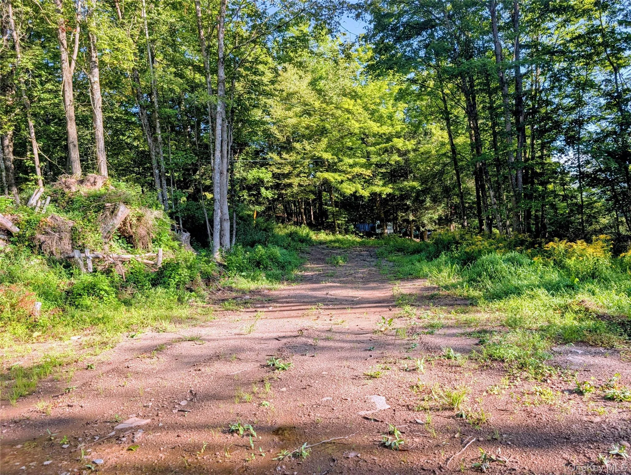 Hurd Road, Bethel, NY, ,Land,For Rent,Hurd,0,1036889 Hurd Road, Bethel, NY, ,Land,For Rent,Hurd,0,1036889