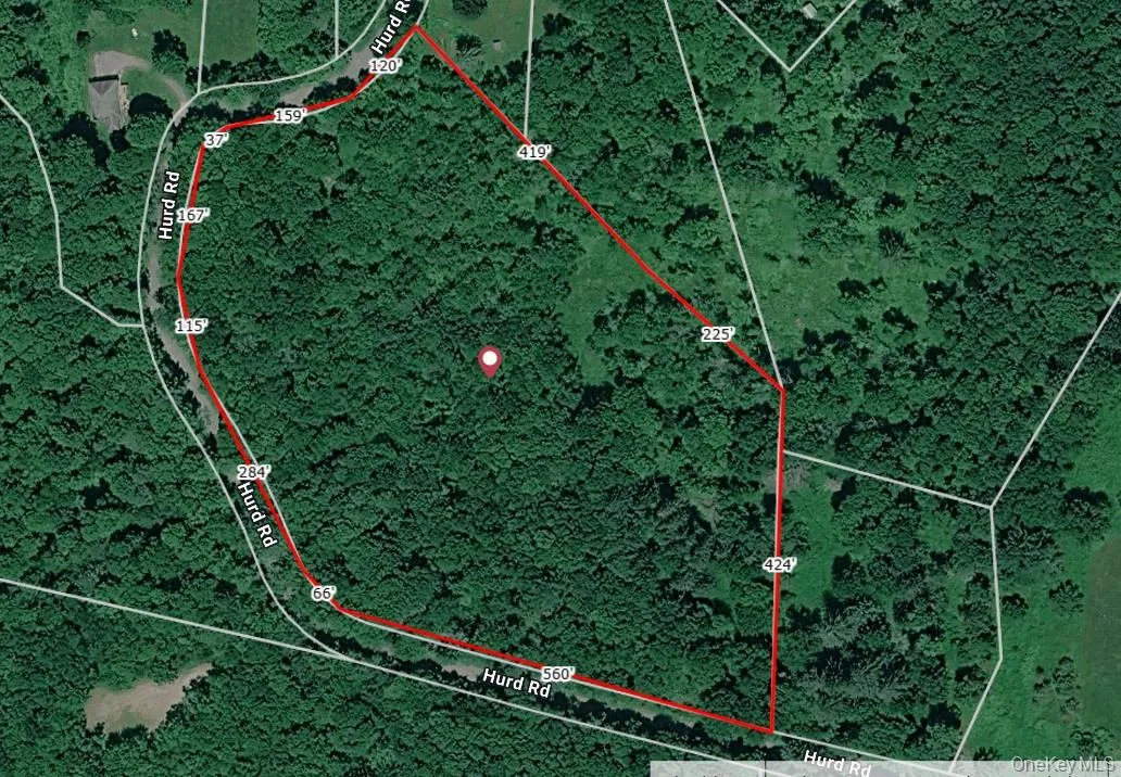 Hurd Road, Bethel, NY, ,Land,For Rent,Hurd,0,1036889 Hurd Road, Bethel, NY, ,Land,For Rent,Hurd,0,1036889
