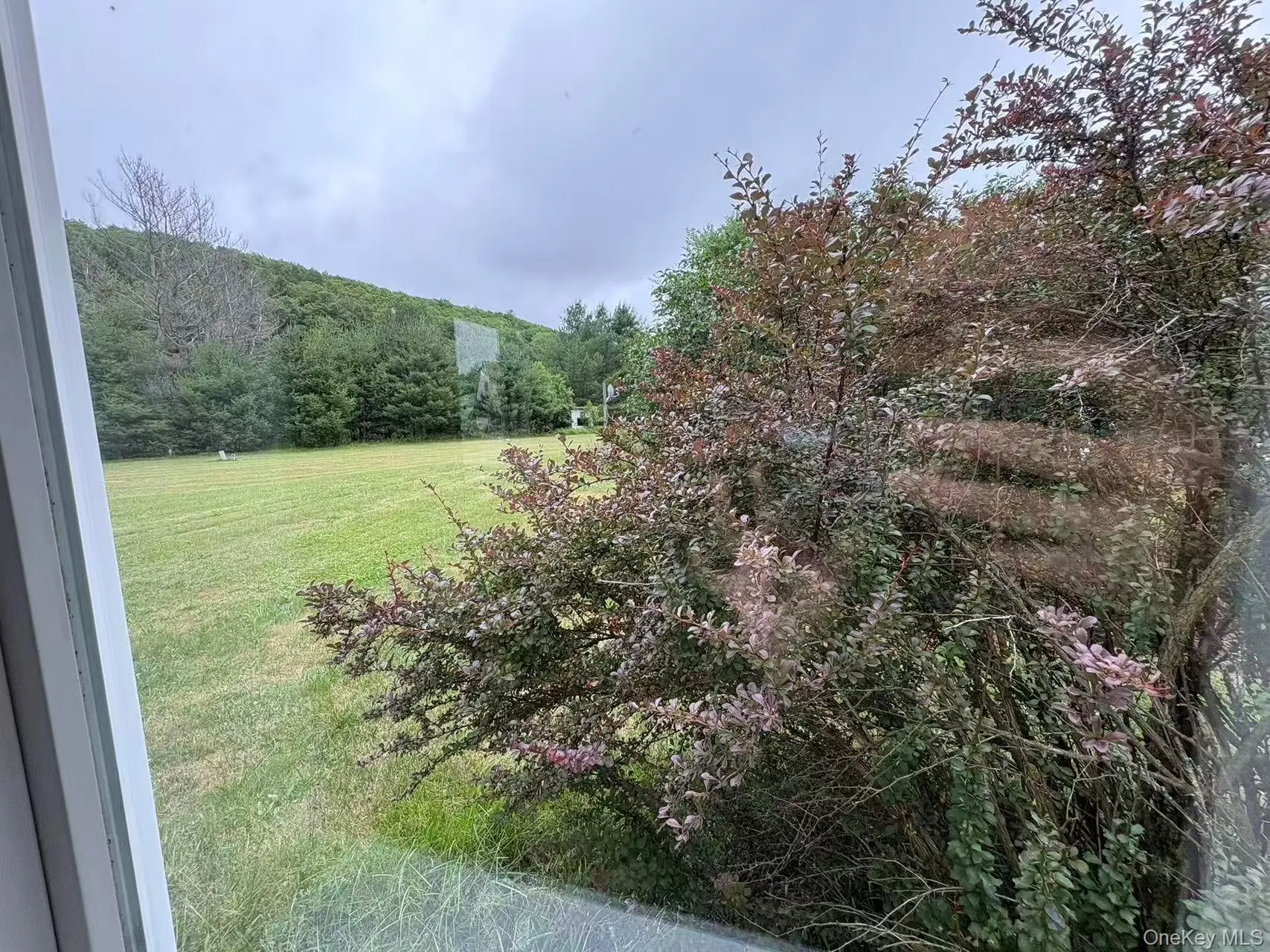12 Pine Drive, Fallsburg, NY, 2 Bedrooms Bedrooms, 7 Rooms Rooms,2 BathroomsBathrooms,Residential,For Rent,Pine,0,1036902 12 Pine Drive, Fallsburg, NY, 2 Bedrooms Bedrooms, 7 Rooms Rooms,2 BathroomsBathrooms,Residential,For Rent,Pine,0,1036902