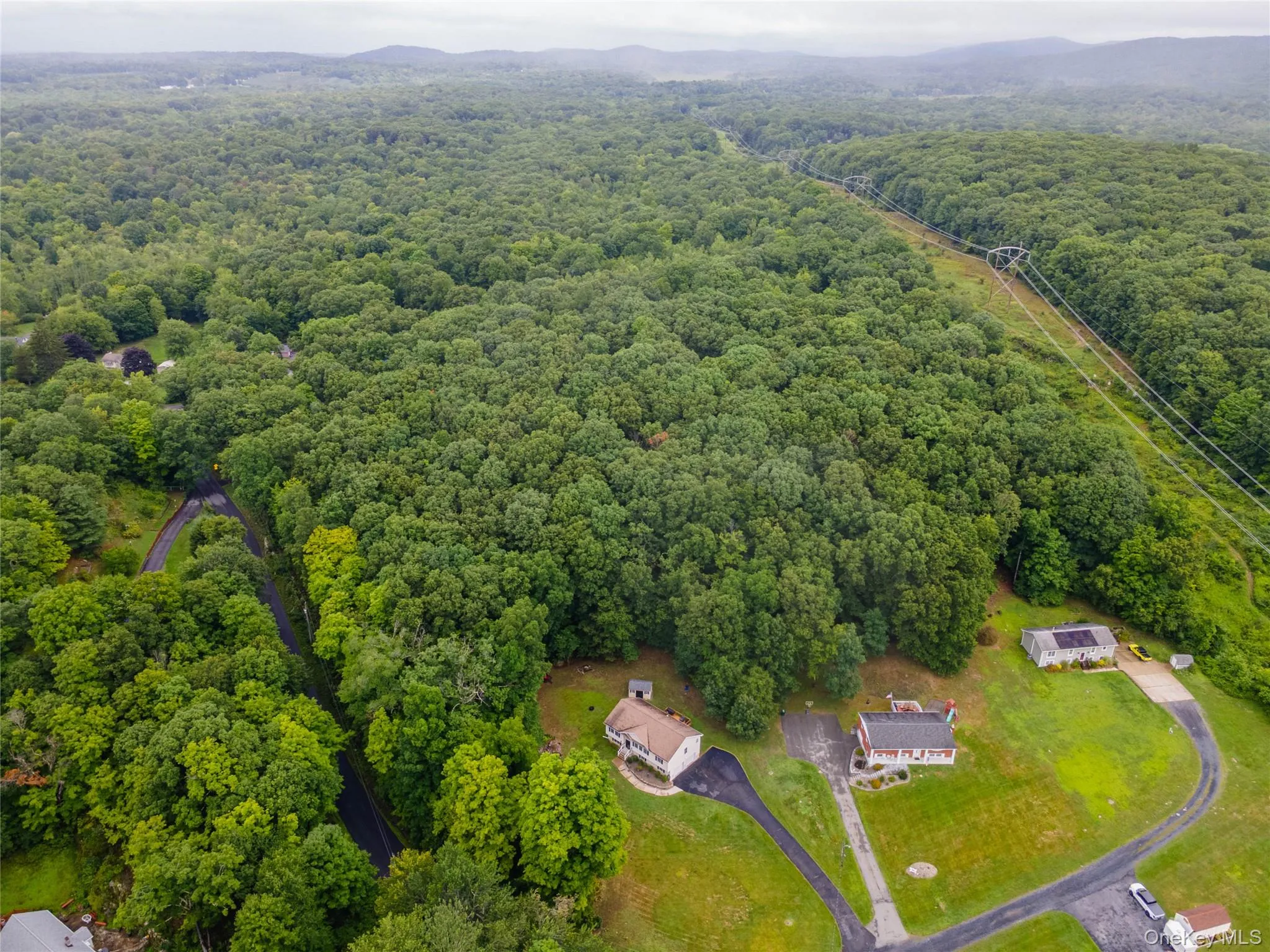 Expansive treed landscape with scattered residential properties Expansive treed landscape with scattered residential properties