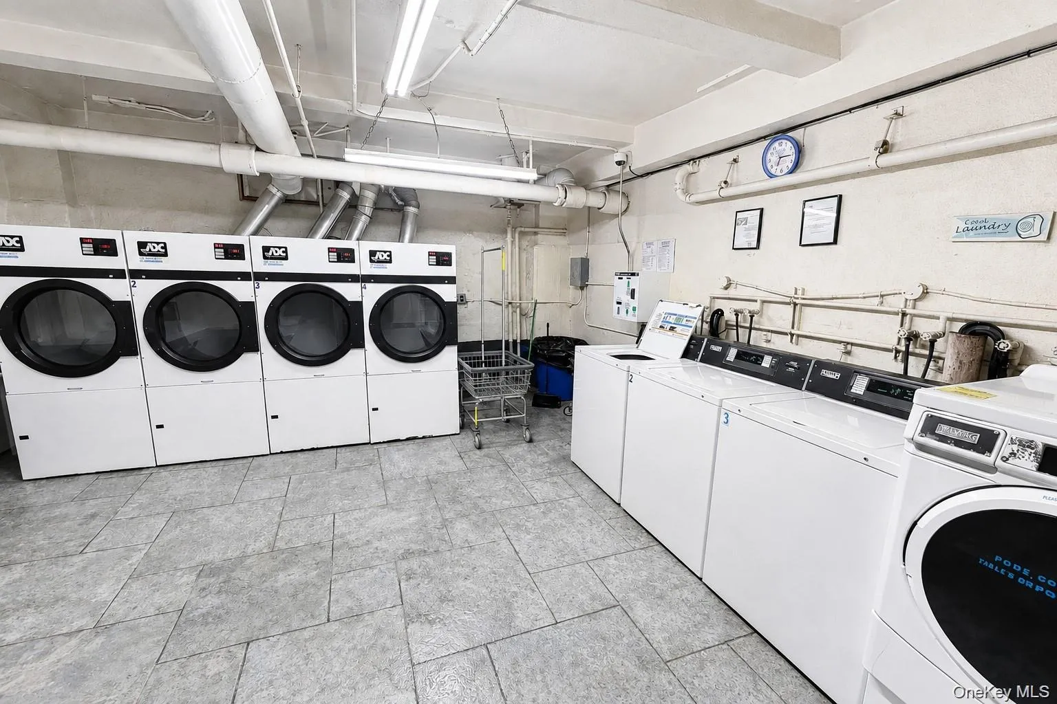 5 Circuit Road, New Rochelle, NY, 2 Bedrooms Bedrooms, 4 Rooms Rooms,1 BathroomBathrooms,Residential,For Rent,Circuit,0,1037001 5 Circuit Road, New Rochelle, NY, 2 Bedrooms Bedrooms, 4 Rooms Rooms,1 BathroomBathrooms,Residential,For Rent,Circuit,0,1037001