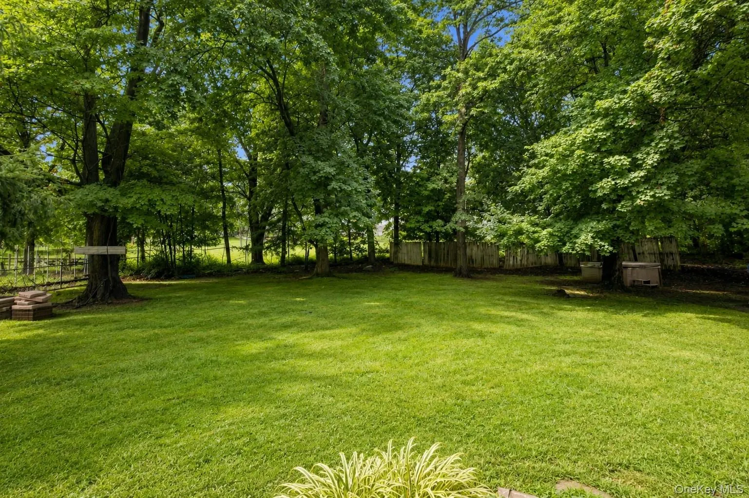 Expansive lawn surrounded by mature trees, featuring a wooden privacy fence and a small decorative shrub Expansive lawn surrounded by mature trees, featuring a wooden privacy fence and a small decorative shrub