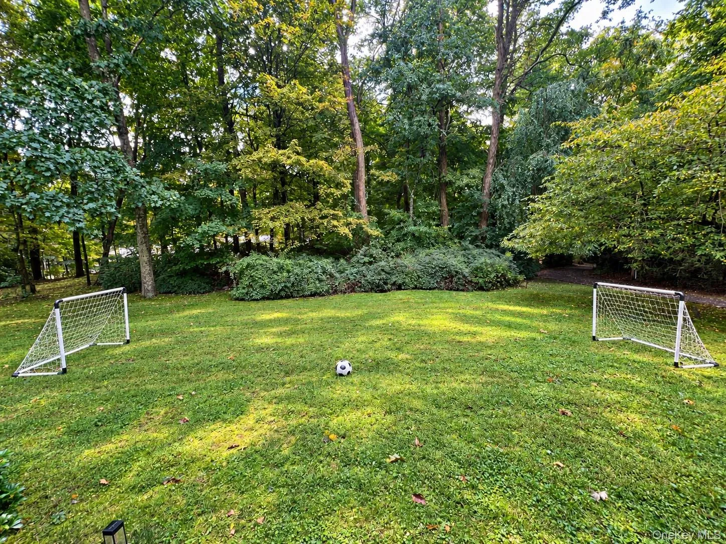 Expansive Front Yard virtually staged with soccer equipment. Expansive Front Yard virtually staged with soccer equipment.