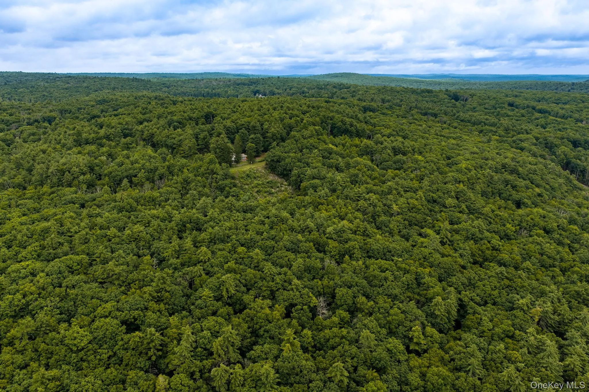 Lot 41 Lynn Road, Lumberland, NY, ,Land,For Rent,Lynn,0,1037054 Lot 41 Lynn Road, Lumberland, NY, ,Land,For Rent,Lynn,0,1037054