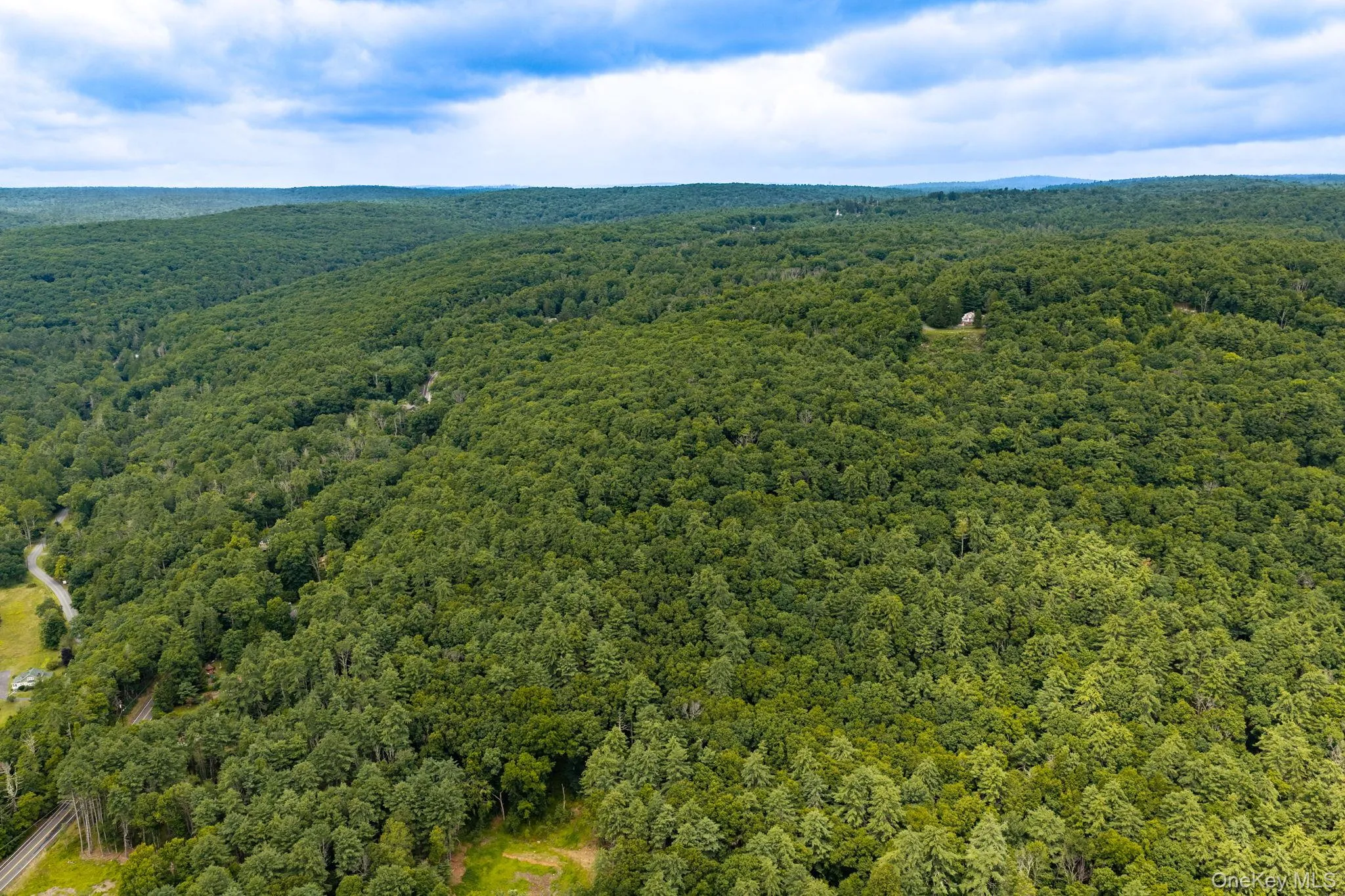 Lot 41 Lynn Road, Lumberland, NY, ,Land,For Rent,Lynn,0,1037054 Lot 41 Lynn Road, Lumberland, NY, ,Land,For Rent,Lynn,0,1037054