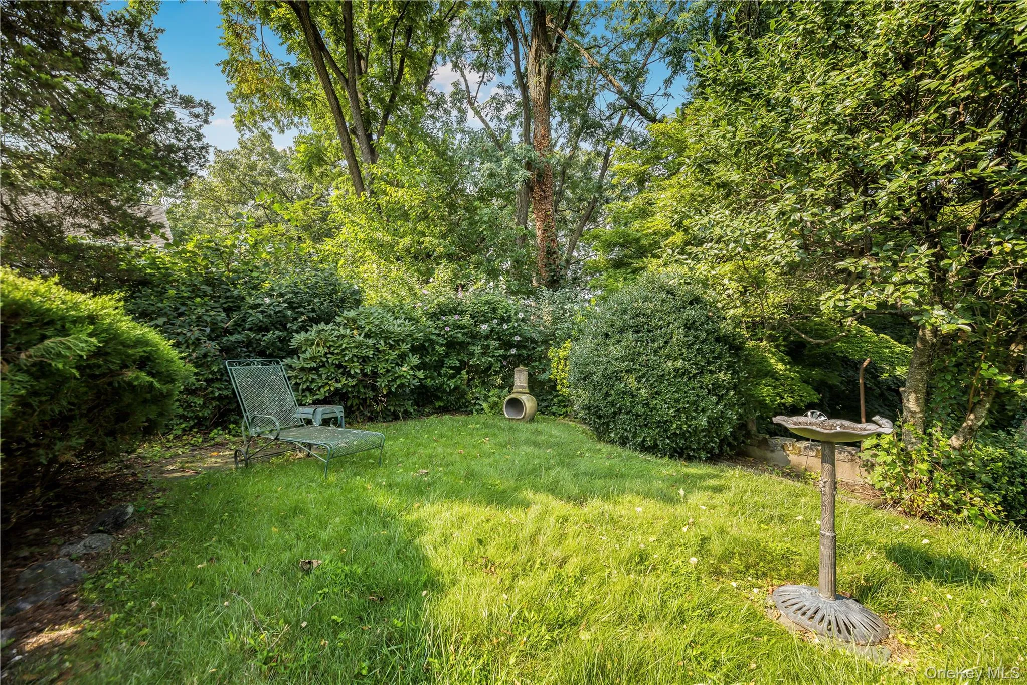 Lush green lawn surrounded by mature trees and varied shrubbery Lush green lawn surrounded by mature trees and varied shrubbery