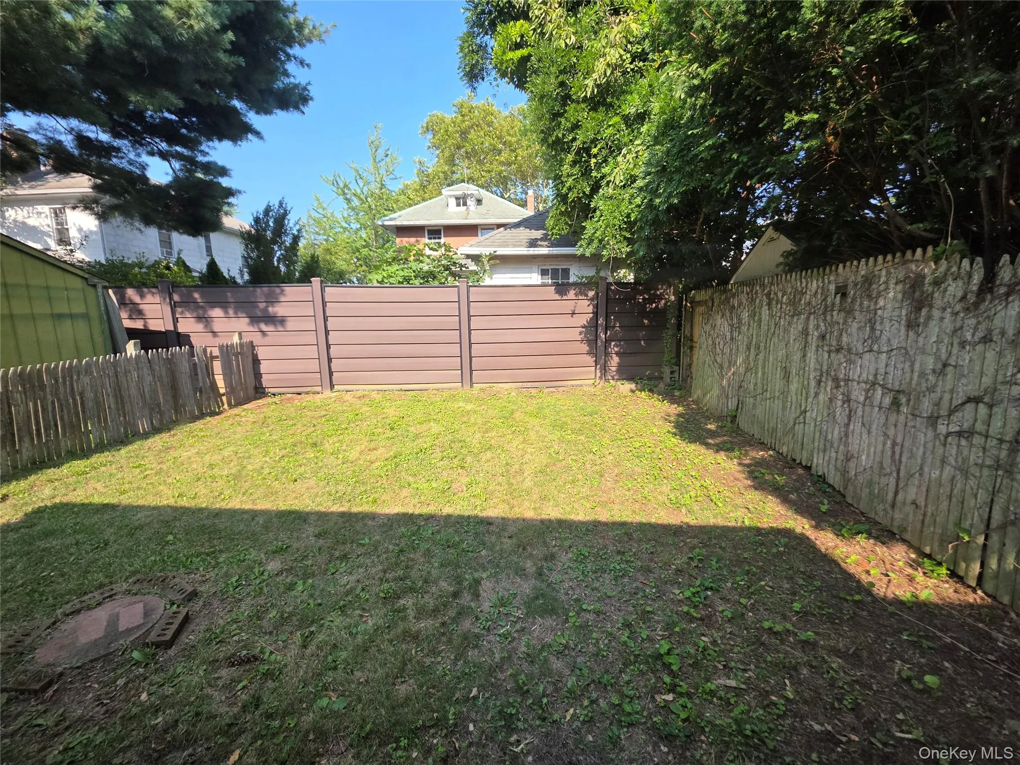 backyard backyard