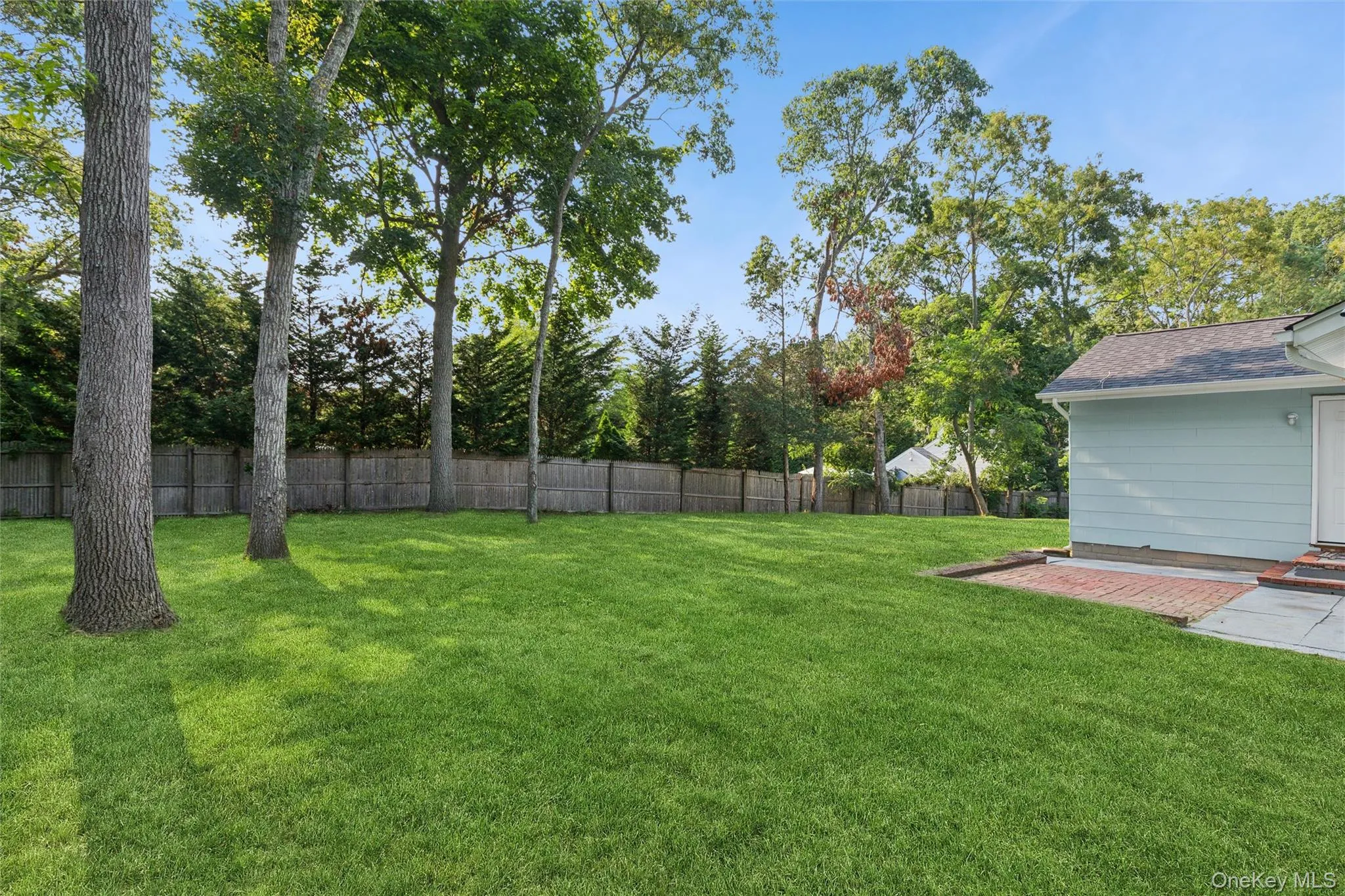 Backyard open not fenced Backyard open not fenced