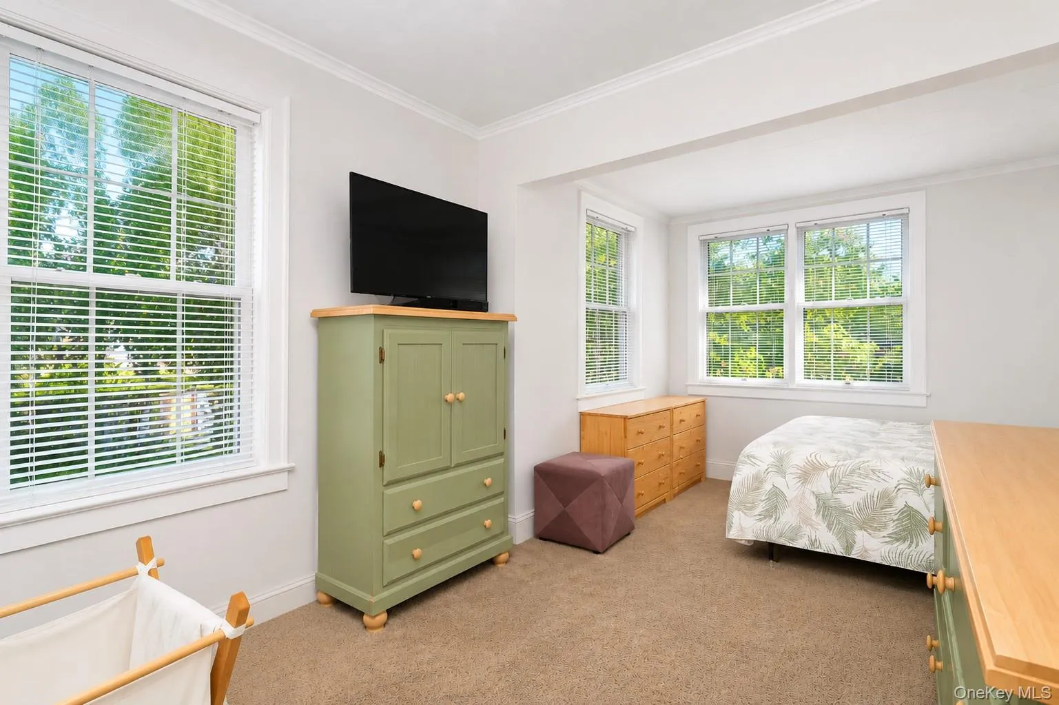 Multiple double-hung windows with blinds, crown molding, and carpeted flooring Multiple double-hung windows with blinds, crown molding, and carpeted flooring