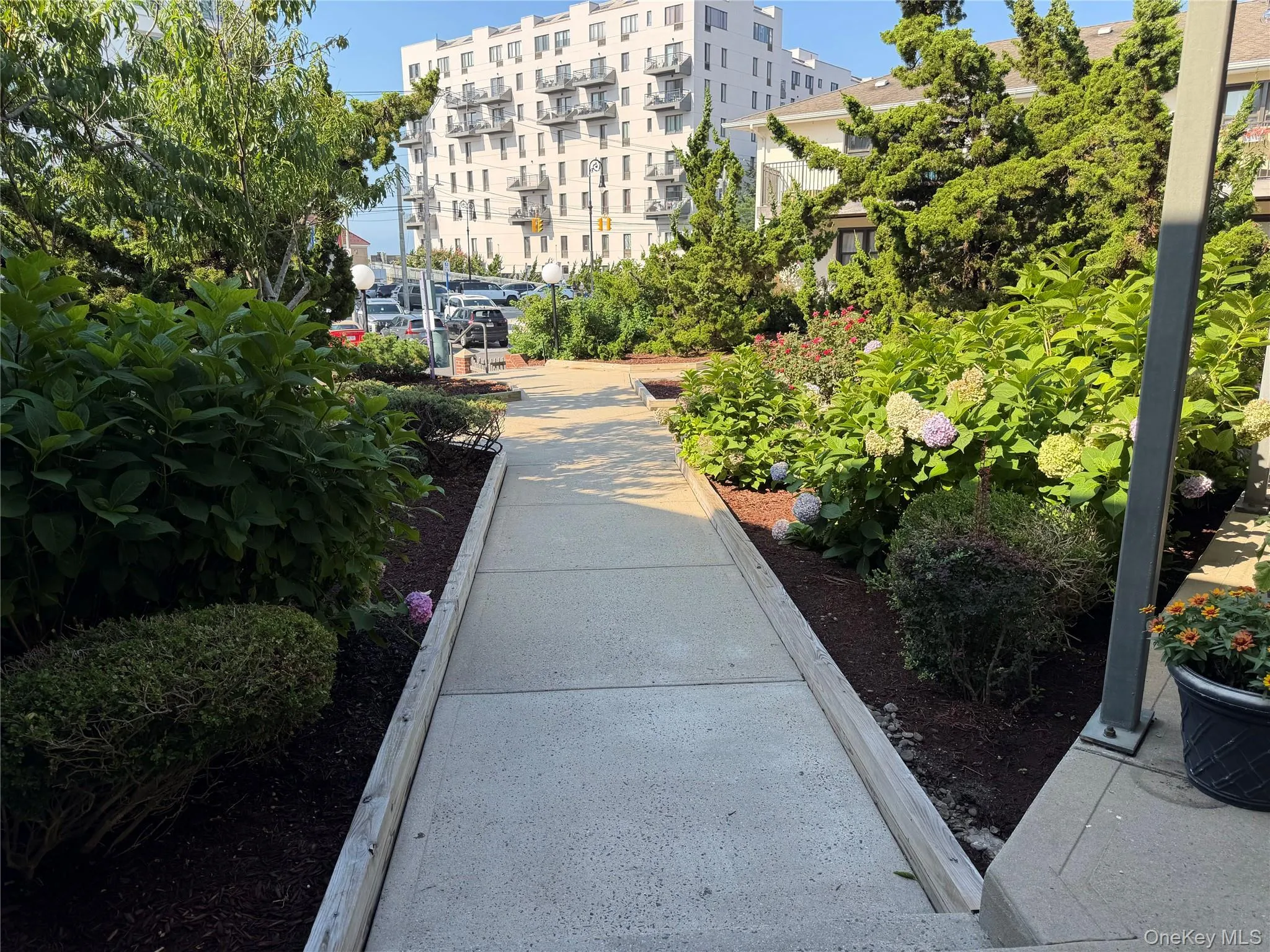 65 Broadway, Long Beach, NY, 2 Rooms Rooms,1 BathroomBathrooms,Residential Lease,For Rent,Broadway,0,1037170 65 Broadway, Long Beach, NY, 2 Rooms Rooms,1 BathroomBathrooms,Residential Lease,For Rent,Broadway,0,1037170