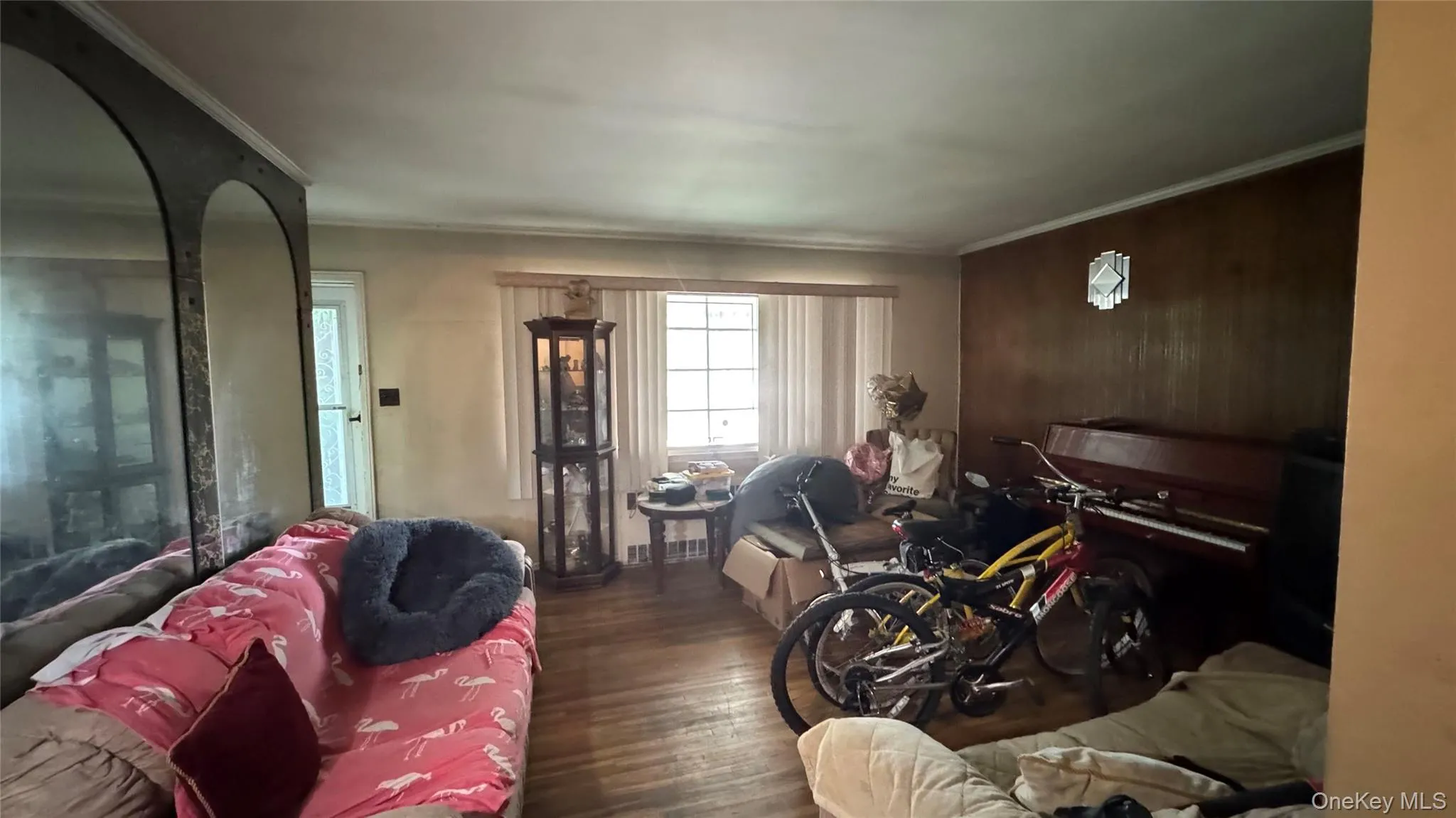 12161 238 Street Street, New York, NY, 3 Bedrooms Bedrooms, 8 Rooms Rooms,2 BathroomsBathrooms,Residential,For Rent,238 Street,0,1037191 12161 238 Street Street, New York, NY, 3 Bedrooms Bedrooms, 8 Rooms Rooms,2 BathroomsBathrooms,Residential,For Rent,238 Street,0,1037191