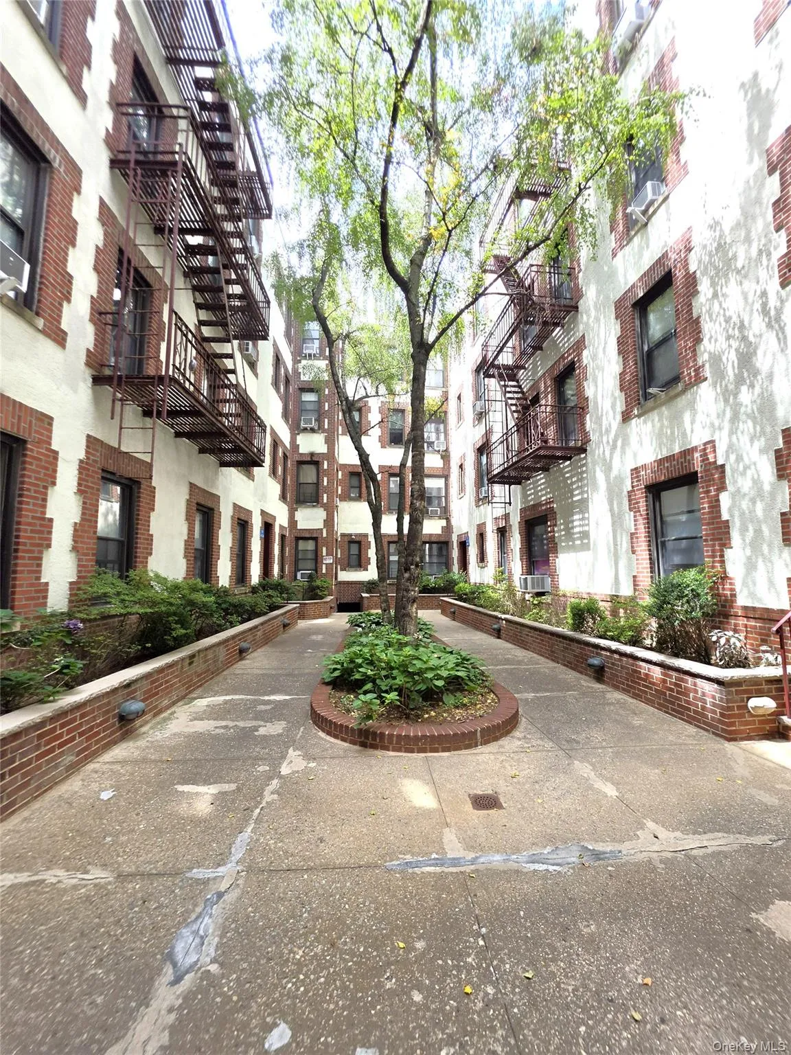 31-14 Crescent Street, New York, NY, 1 Bedroom Bedrooms, 4 Rooms Rooms,1 BathroomBathrooms,Residential,For Rent,Crescent,0,1037196 31-14 Crescent Street, New York, NY, 1 Bedroom Bedrooms, 4 Rooms Rooms,1 BathroomBathrooms,Residential,For Rent,Crescent,0,1037196