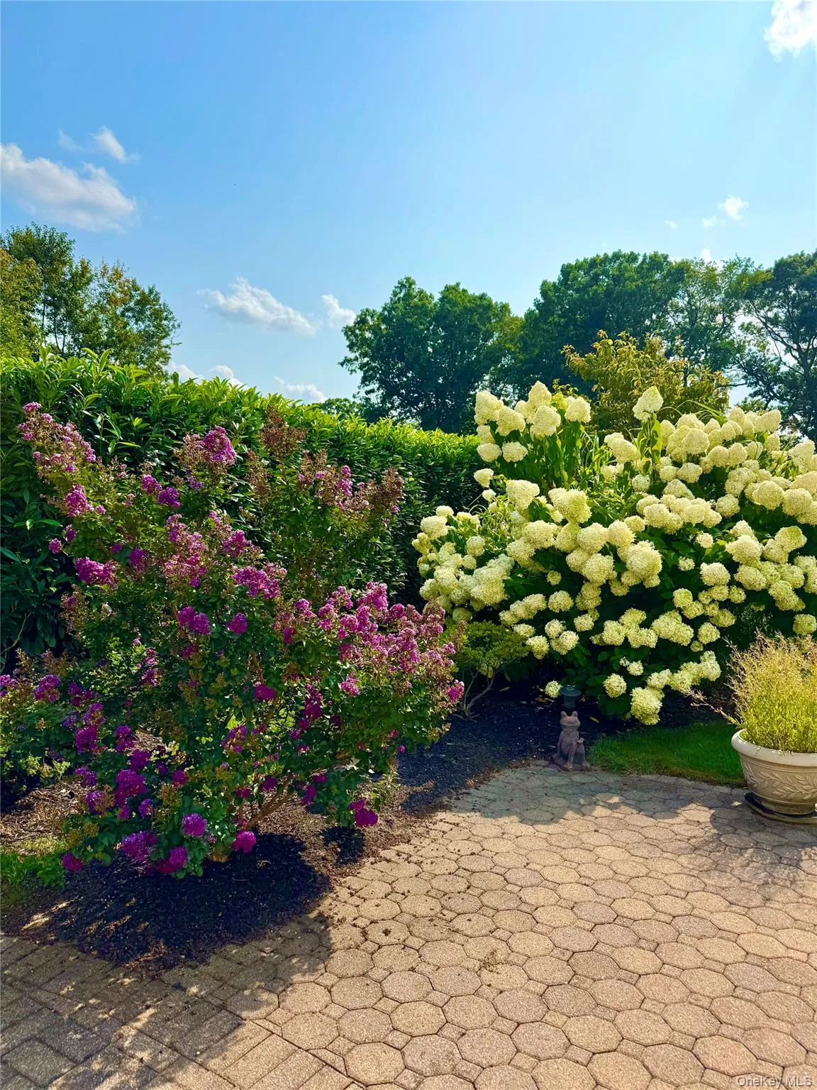 160 Windwatch Drive, Islip, NY, 3 Bedrooms Bedrooms, 8 Rooms Rooms,2 BathroomsBathrooms,Residential,For Rent,Windwatch,0,1037202 160 Windwatch Drive, Islip, NY, 3 Bedrooms Bedrooms, 8 Rooms Rooms,2 BathroomsBathrooms,Residential,For Rent,Windwatch,0,1037202