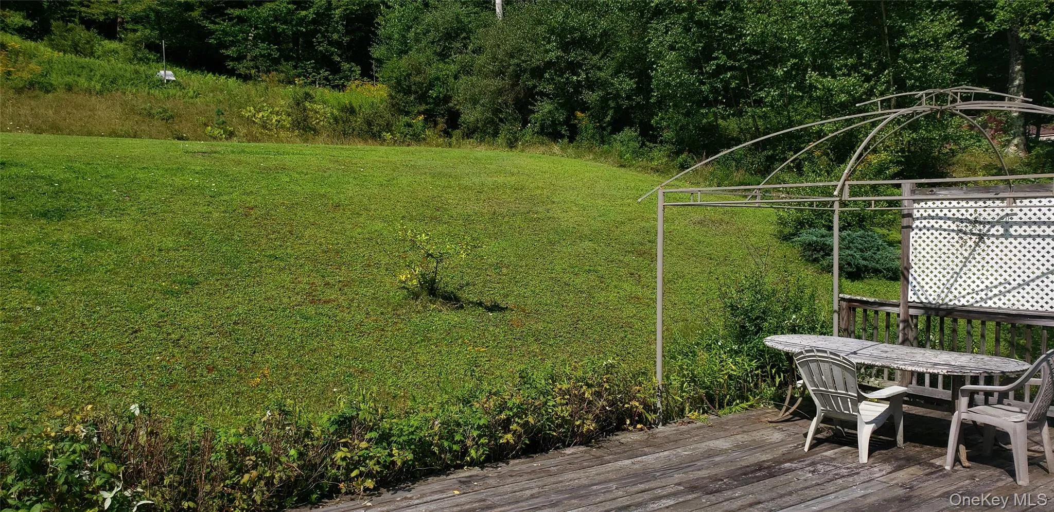 Backyard Backyard