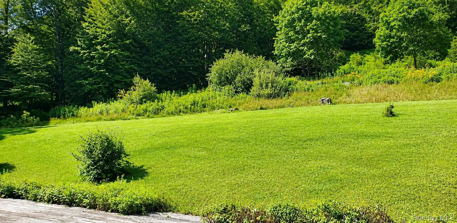 263 Mongaup Road, Fallsburg, NY, 3 Bedrooms Bedrooms, 7 Rooms Rooms,2 BathroomsBathrooms,Residential,For Rent,Mongaup,0,1037206 263 Mongaup Road, Fallsburg, NY, 3 Bedrooms Bedrooms, 7 Rooms Rooms,2 BathroomsBathrooms,Residential,For Rent,Mongaup,0,1037206