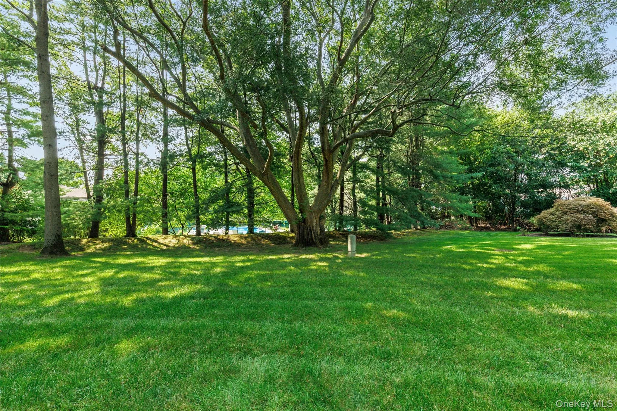 64 Talcott Road, Rye Town, NY, 4 Bedrooms Bedrooms, 7 Rooms Rooms,3 BathroomsBathrooms,Residential,For Rent,Talcott,0,1037207 64 Talcott Road, Rye Town, NY, 4 Bedrooms Bedrooms, 7 Rooms Rooms,3 BathroomsBathrooms,Residential,For Rent,Talcott,0,1037207