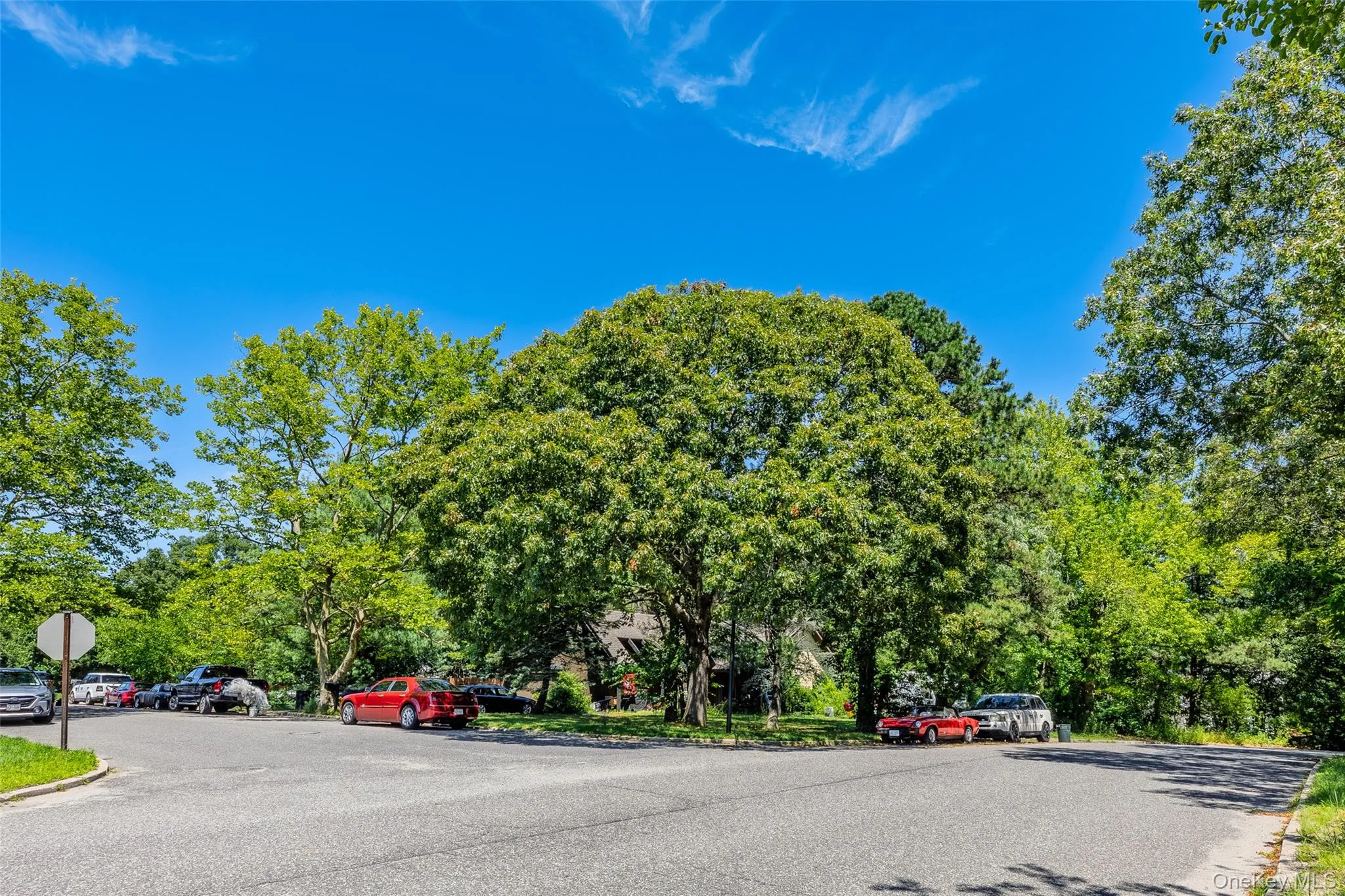 3 Gaton Lane, Brookhaven, NY, 3 Bedrooms Bedrooms, 5 Rooms Rooms,2 BathroomsBathrooms,Residential,For Rent,Gaton,0,1037234 3 Gaton Lane, Brookhaven, NY, 3 Bedrooms Bedrooms, 5 Rooms Rooms,2 BathroomsBathrooms,Residential,For Rent,Gaton,0,1037234