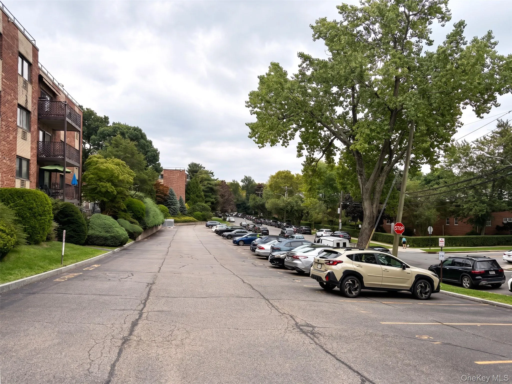 115 Dehaven Drive, Yonkers, NY, 1 Bedroom Bedrooms, 3 Rooms Rooms,1 BathroomBathrooms,Residential,For Rent,Dehaven,0,1037263 115 Dehaven Drive, Yonkers, NY, 1 Bedroom Bedrooms, 3 Rooms Rooms,1 BathroomBathrooms,Residential,For Rent,Dehaven,0,1037263