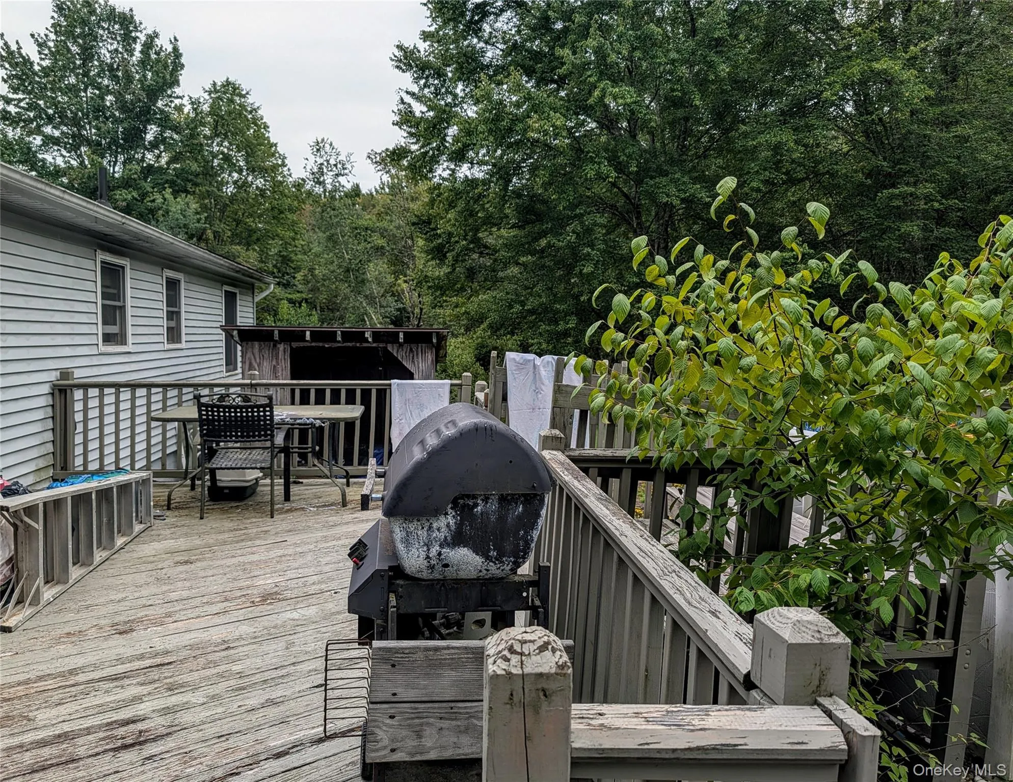 77 Murphy Road, Bethel, NY, 3 Bedrooms Bedrooms, 7 Rooms Rooms,2 BathroomsBathrooms,Residential,For Rent,Murphy,0,1037274 77 Murphy Road, Bethel, NY, 3 Bedrooms Bedrooms, 7 Rooms Rooms,2 BathroomsBathrooms,Residential,For Rent,Murphy,0,1037274