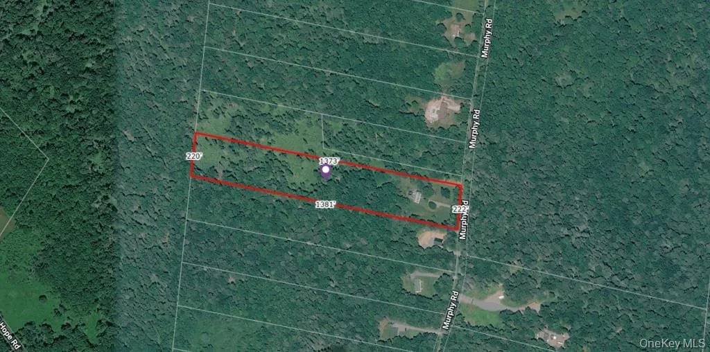 77 Murphy Road, Bethel, NY, 3 Bedrooms Bedrooms, 7 Rooms Rooms,2 BathroomsBathrooms,Residential,For Rent,Murphy,0,1037274 77 Murphy Road, Bethel, NY, 3 Bedrooms Bedrooms, 7 Rooms Rooms,2 BathroomsBathrooms,Residential,For Rent,Murphy,0,1037274