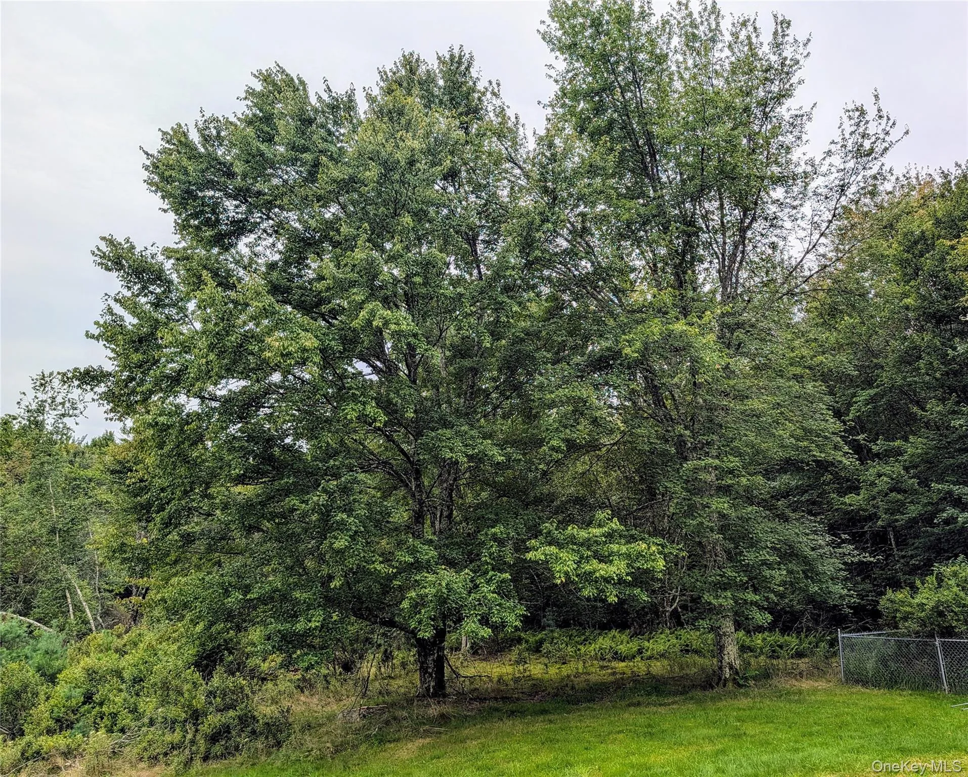 77 Murphy Road, Bethel, NY, 3 Bedrooms Bedrooms, 7 Rooms Rooms,2 BathroomsBathrooms,Residential,For Rent,Murphy,0,1037274 77 Murphy Road, Bethel, NY, 3 Bedrooms Bedrooms, 7 Rooms Rooms,2 BathroomsBathrooms,Residential,For Rent,Murphy,0,1037274
