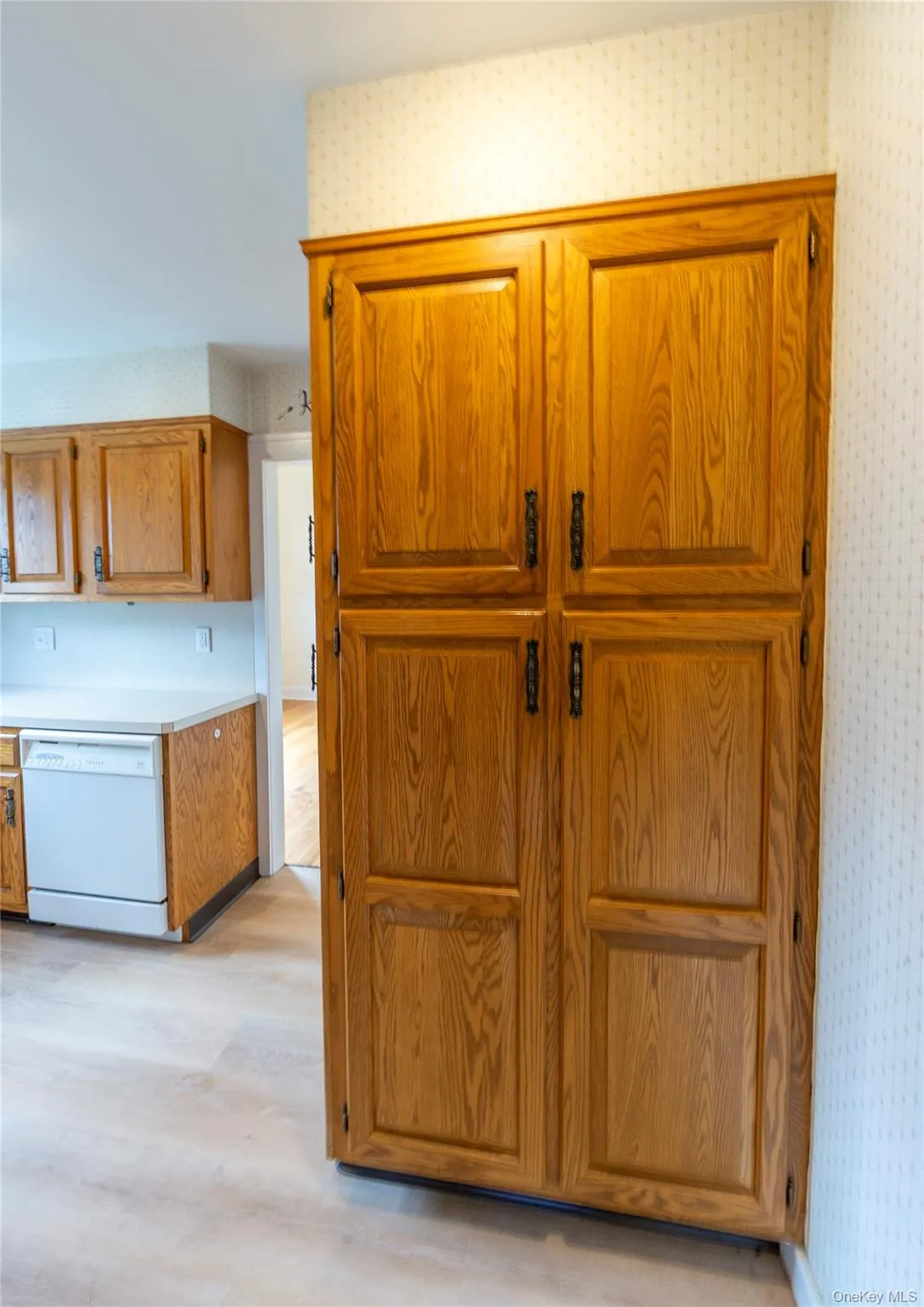 Great pantry space. Great pantry space.