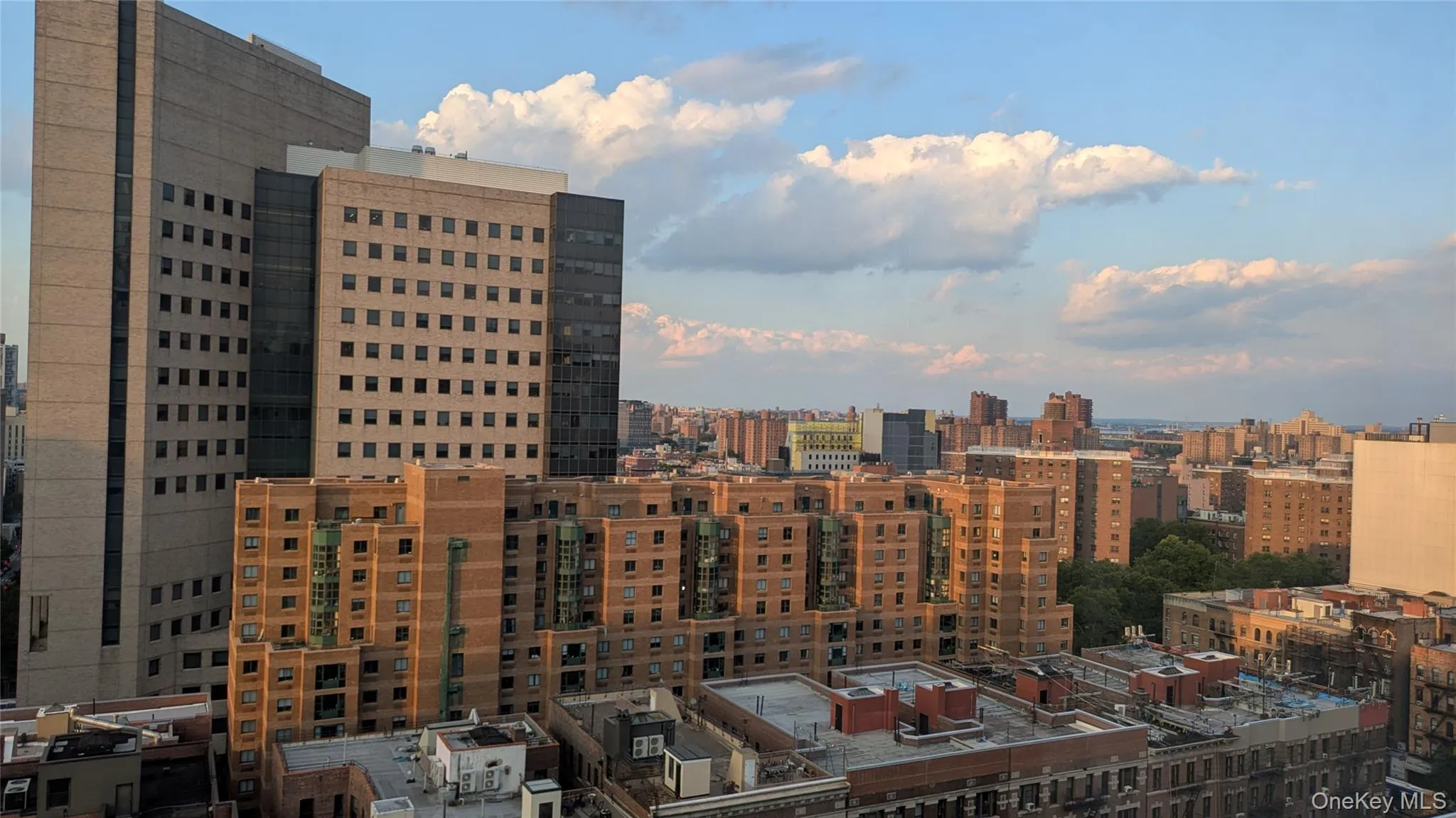 49 96th Street, New York, NY, 1 Bedroom Bedrooms, 3 Rooms Rooms,1 BathroomBathrooms,Residential,For Rent,96th,0,1037282 49 96th Street, New York, NY, 1 Bedroom Bedrooms, 3 Rooms Rooms,1 BathroomBathrooms,Residential,For Rent,96th,0,1037282