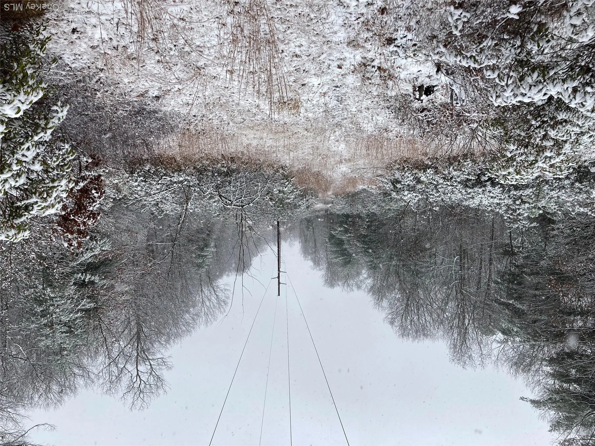 Winter scene Winter scene