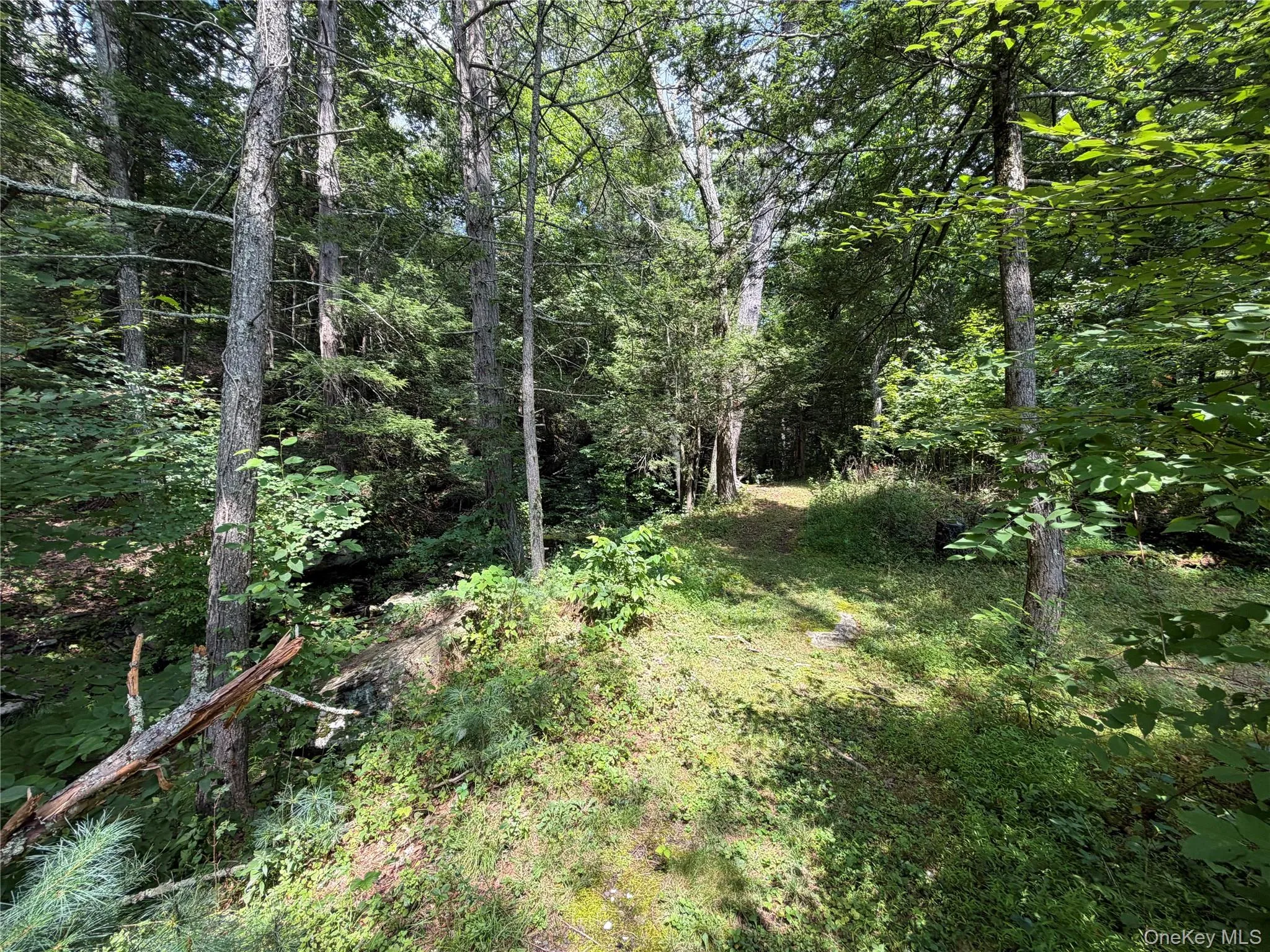 Path Path